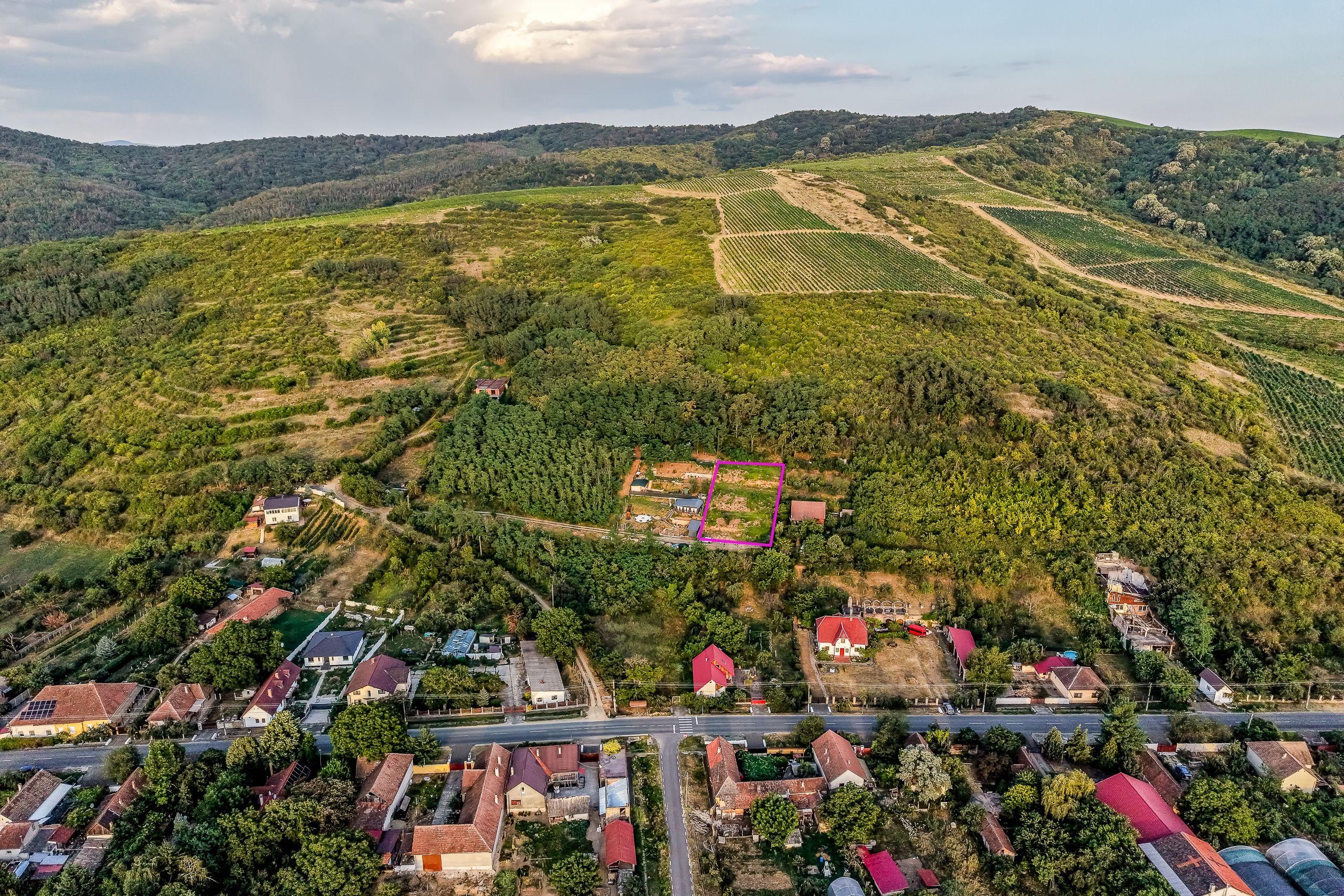 Teren pe deal, 1.150 mp, în Miniș, front 26 m, Drumul Vinului - 3