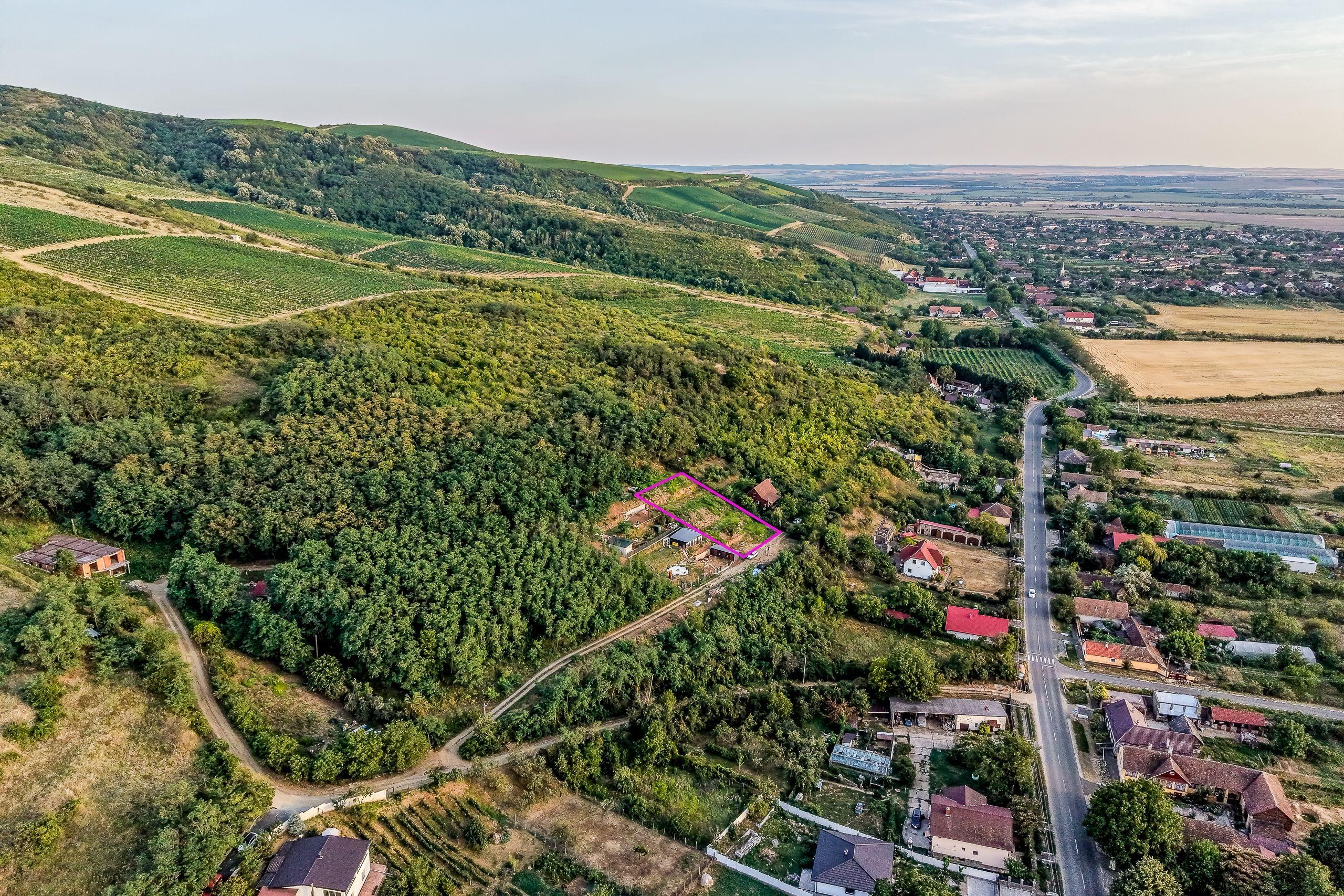 Teren pe deal, 1.150 mp, în Miniș, front 26 m, Drumul Vinului - 4