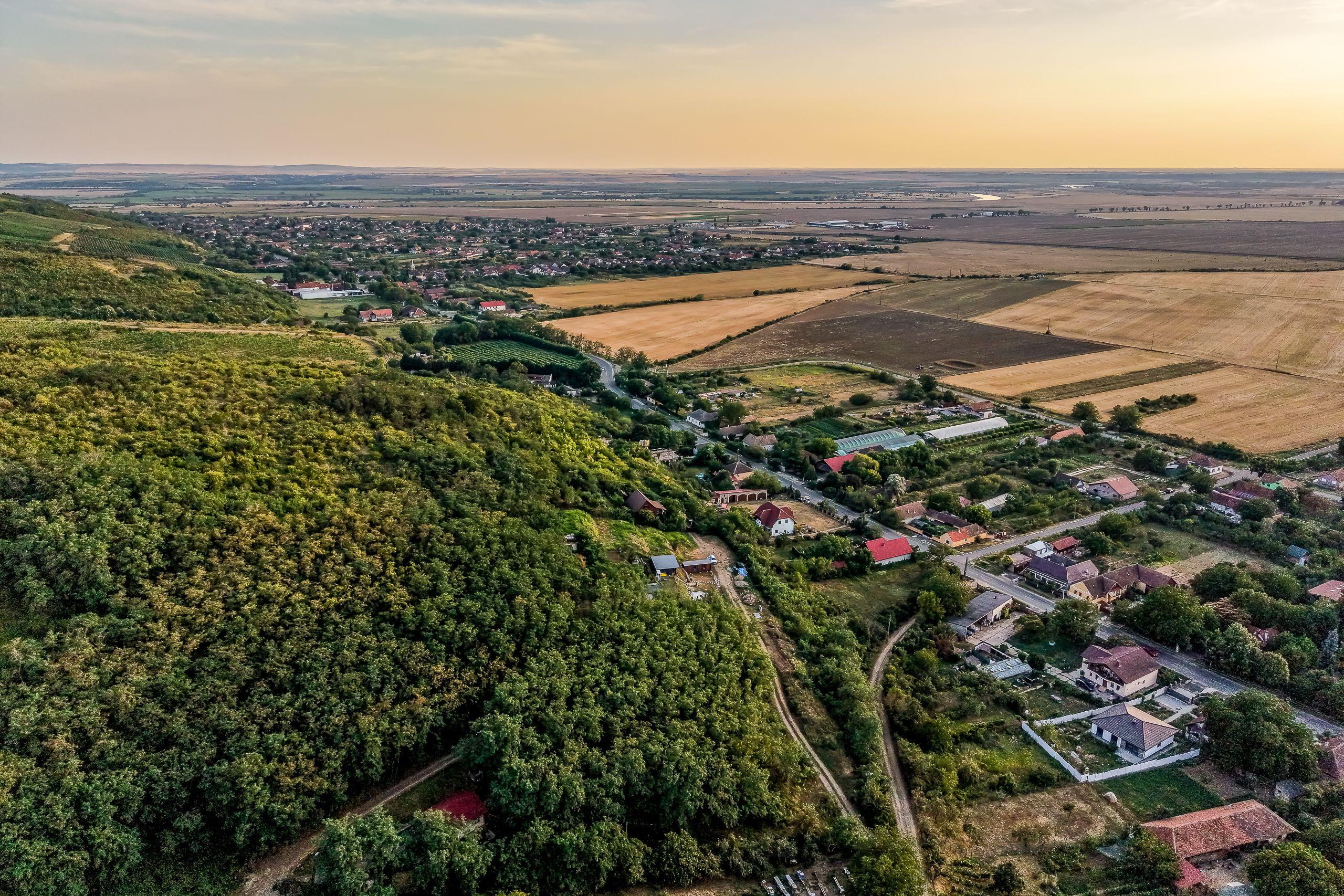 Teren pe deal, 1.150 mp, în Miniș, front 26 m, Drumul Vinului - 2