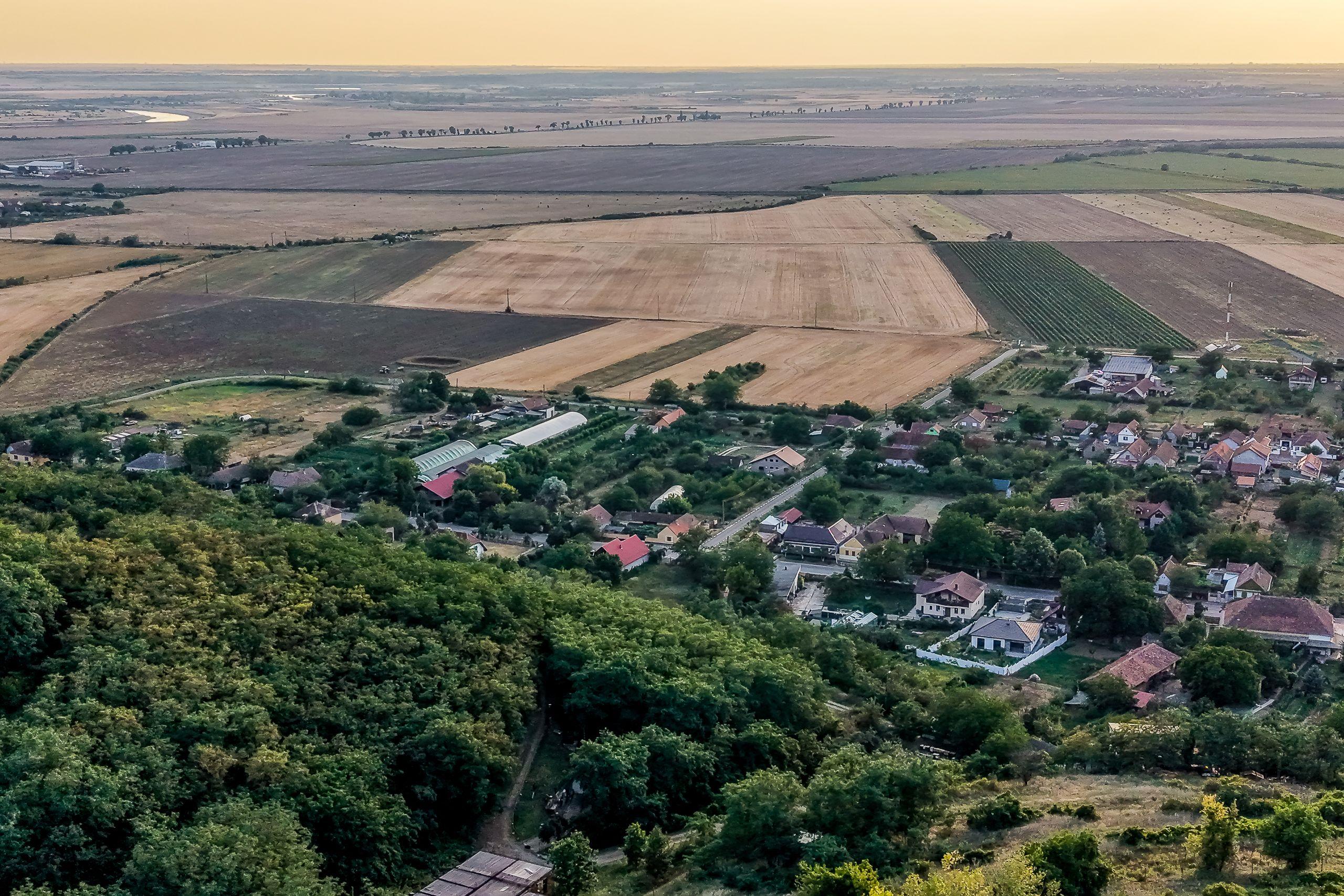 Teren pe deal, 1.150 mp, în Miniș, front 26 m, Drumul Vinului - 8
