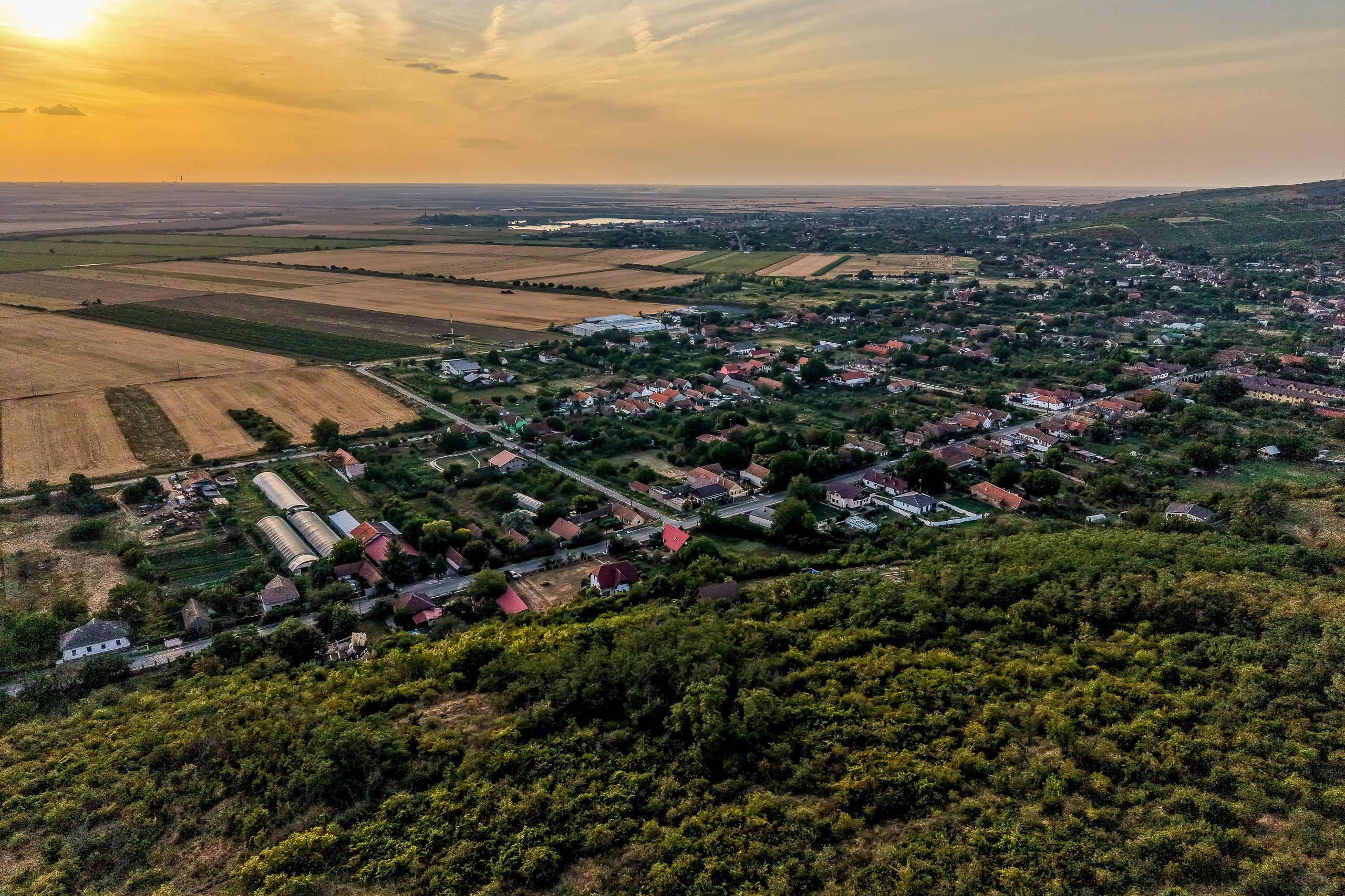 Teren pe deal, 1.150 mp, în Miniș, front 26 m, Drumul Vinului - 9