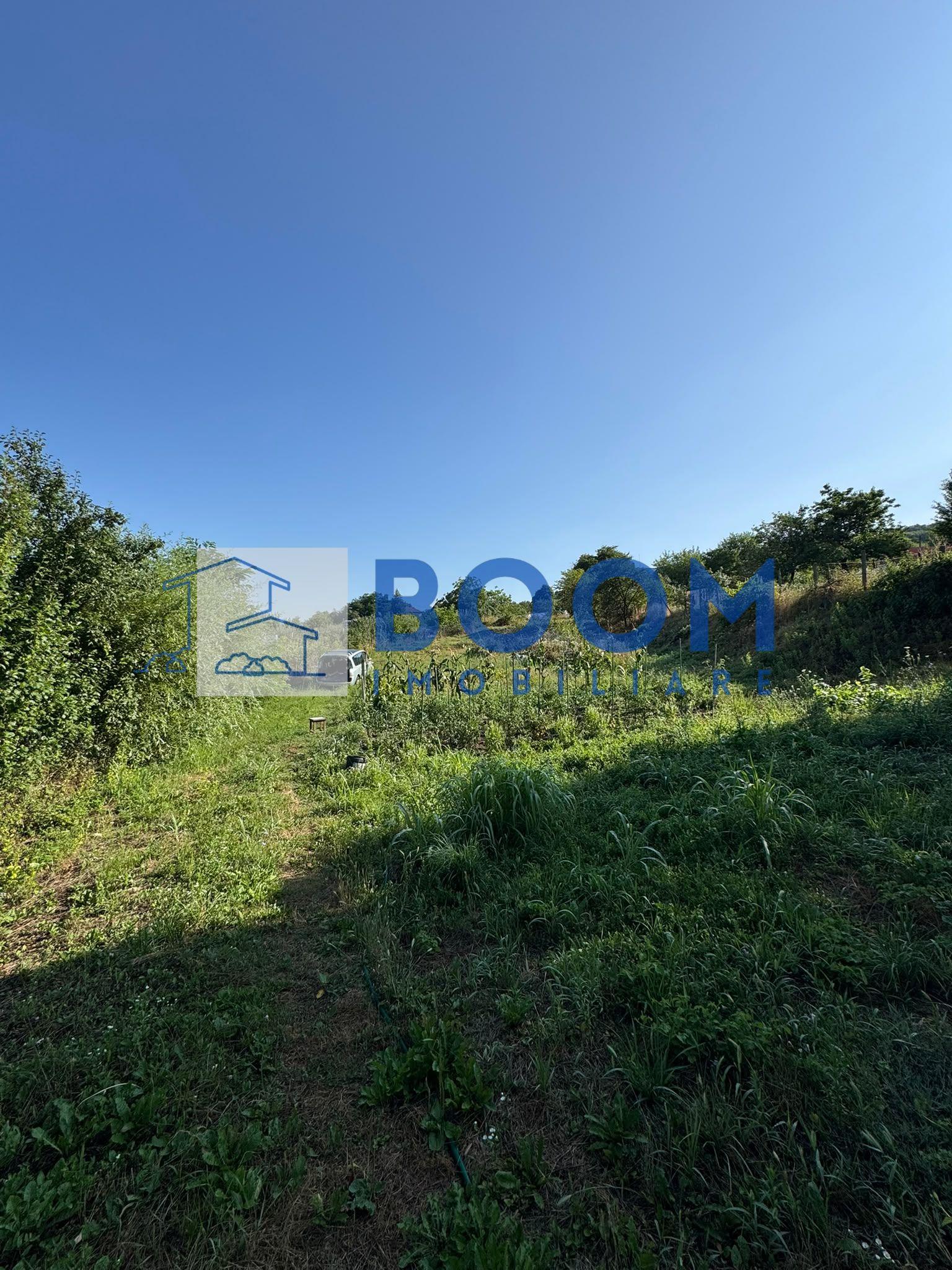 Casă de vânzare | Zona Goranu | Teren 1300 mp | Investitie - 8