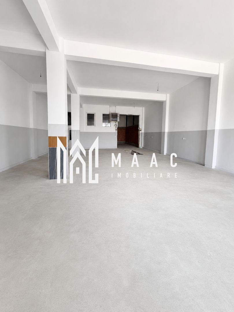 Hală Industrială | 300 MP | Terezian | Acces TIR - 3