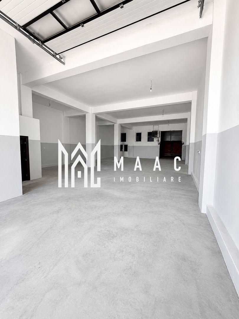 Hală Industrială | 300 MP | Terezian | Acces TIR - 2