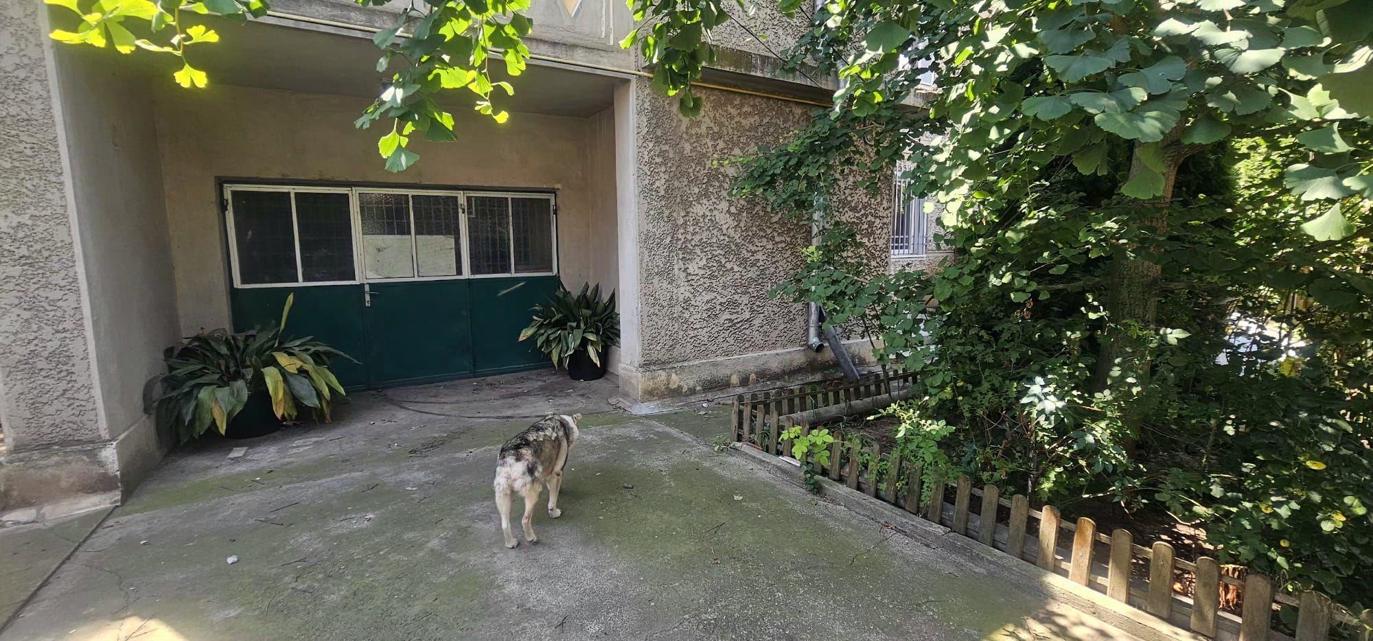 De vanzare - Casa P+1E - Alea Trandafirilor - 220.000 euro - 10