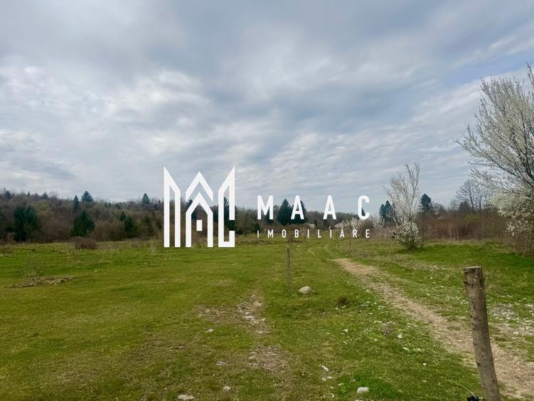 Teren intravilan de vanzare I 1990 mp I Valea Avrigului – lângă Cabana Aris - 1