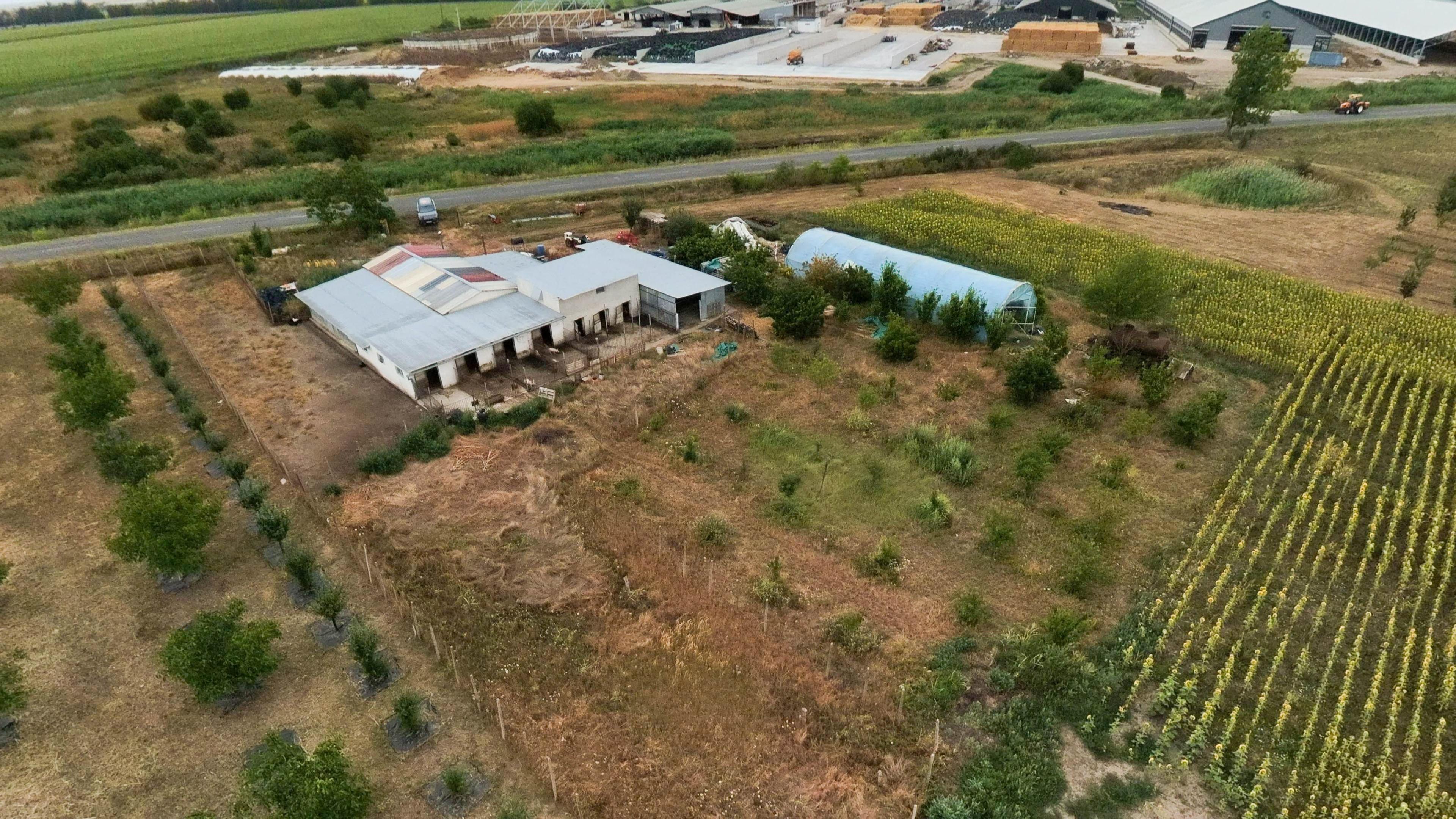 Livadă de 3,6 hectare în Iratoșu – Oportunitate - 8