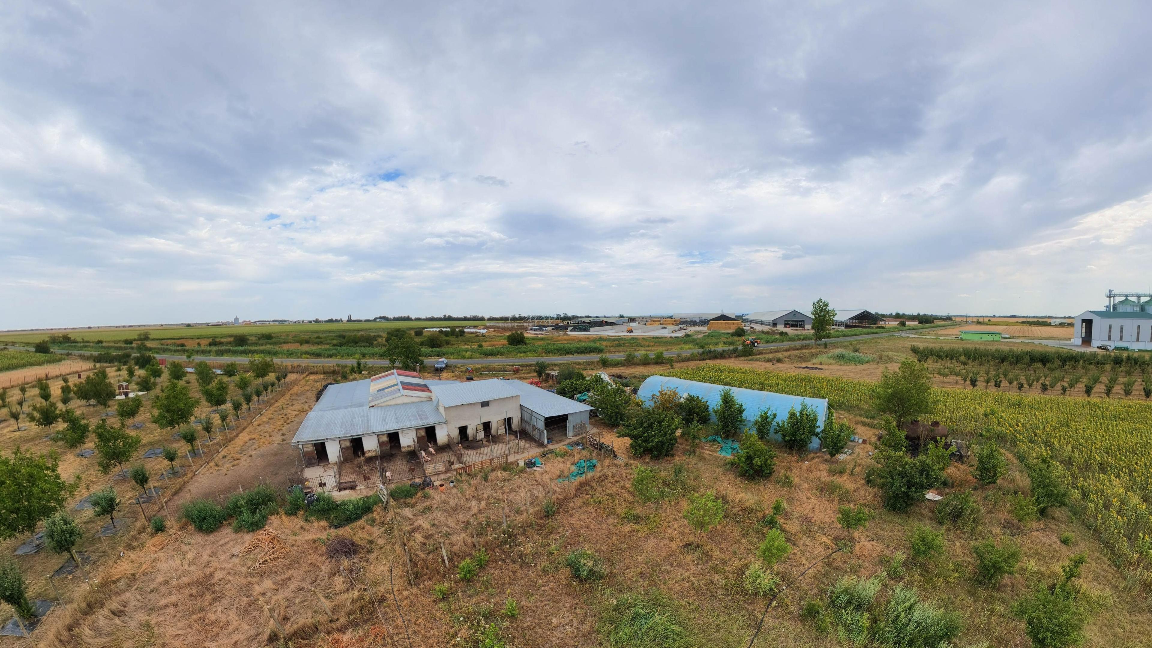 Livadă de 3,6 hectare în Iratoșu – Oportunitate - 10