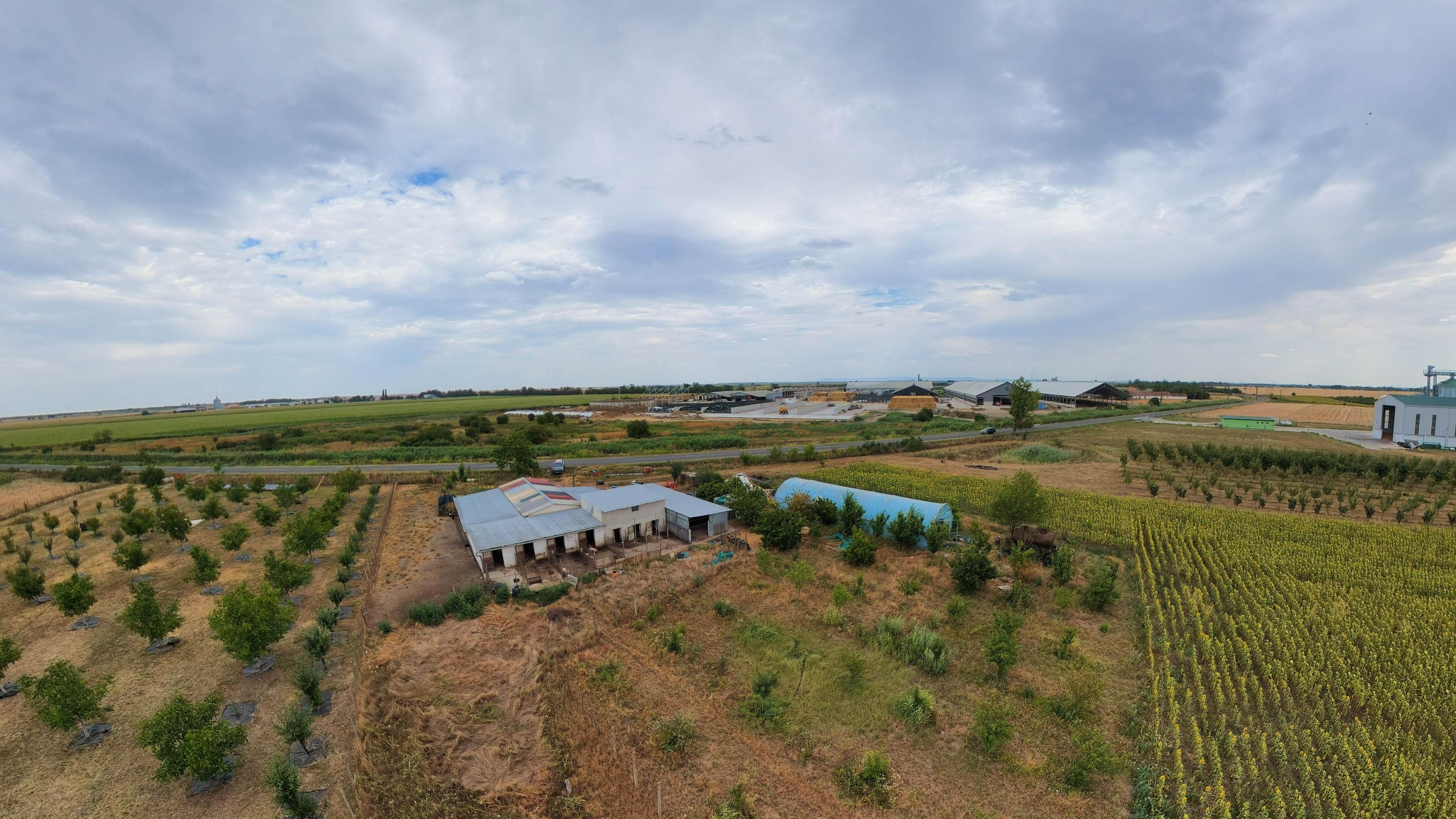 Livadă de 3,6 hectare în Iratoșu – Oportunitate - 9