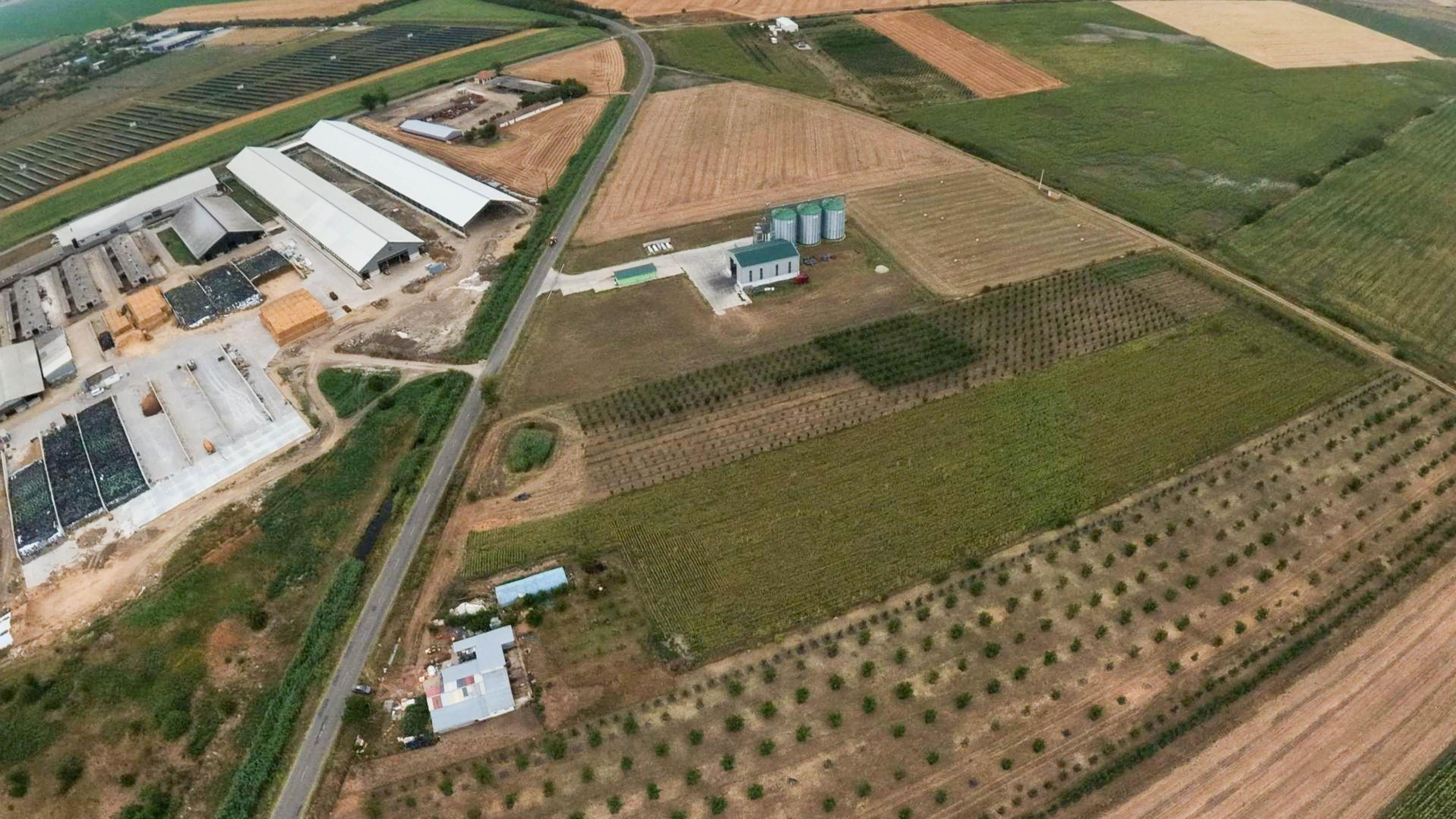 Livadă de 3,6 hectare în Iratoșu – Oportunitate - 5