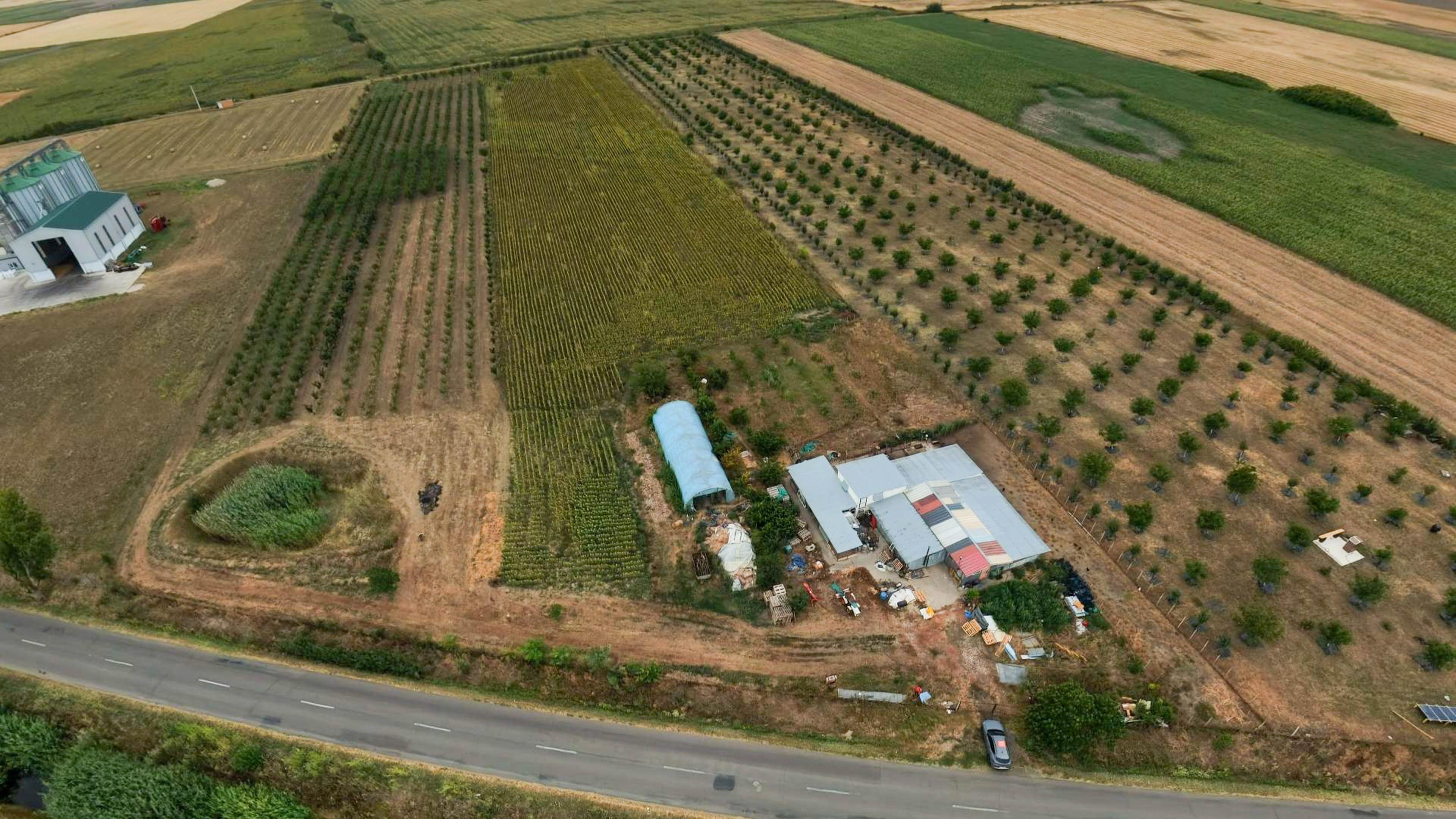 Livadă de 3,6 hectare în Iratoșu – Oportunitate - 2