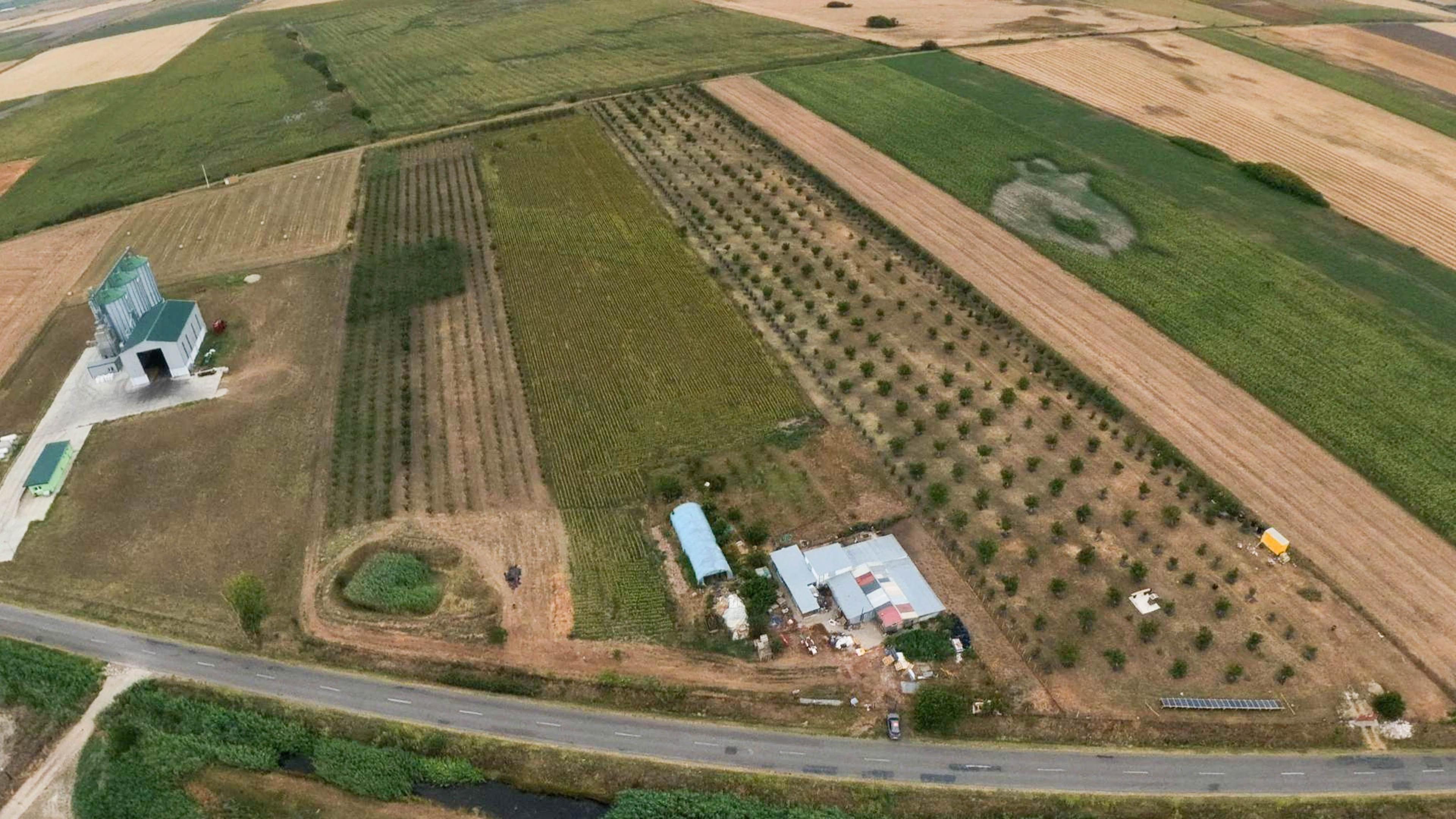 Livadă de 3,6 hectare în Iratoșu – Oportunitate - 4
