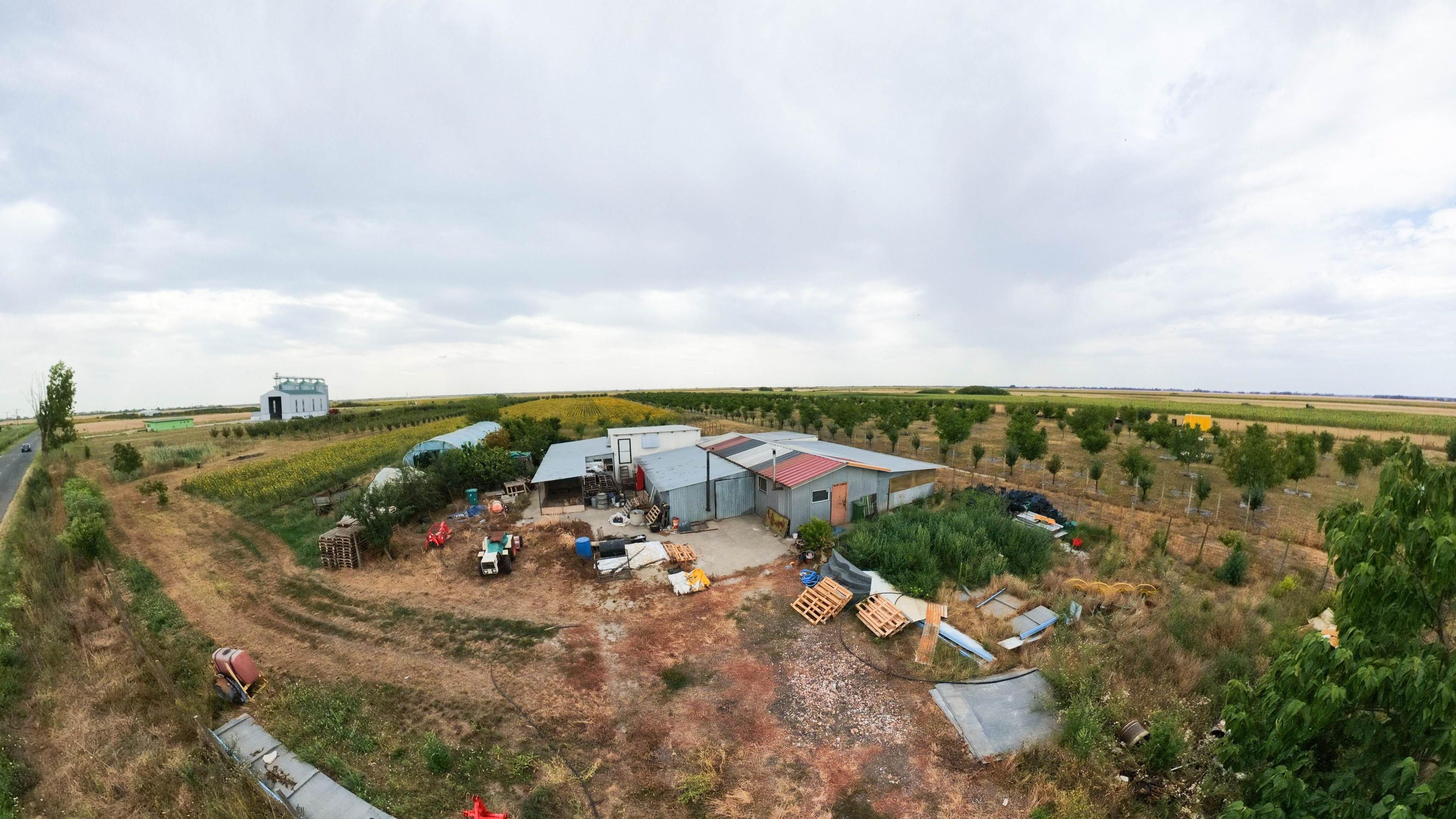 Livadă de 3,6 hectare în Iratoșu – Oportunitate - 7