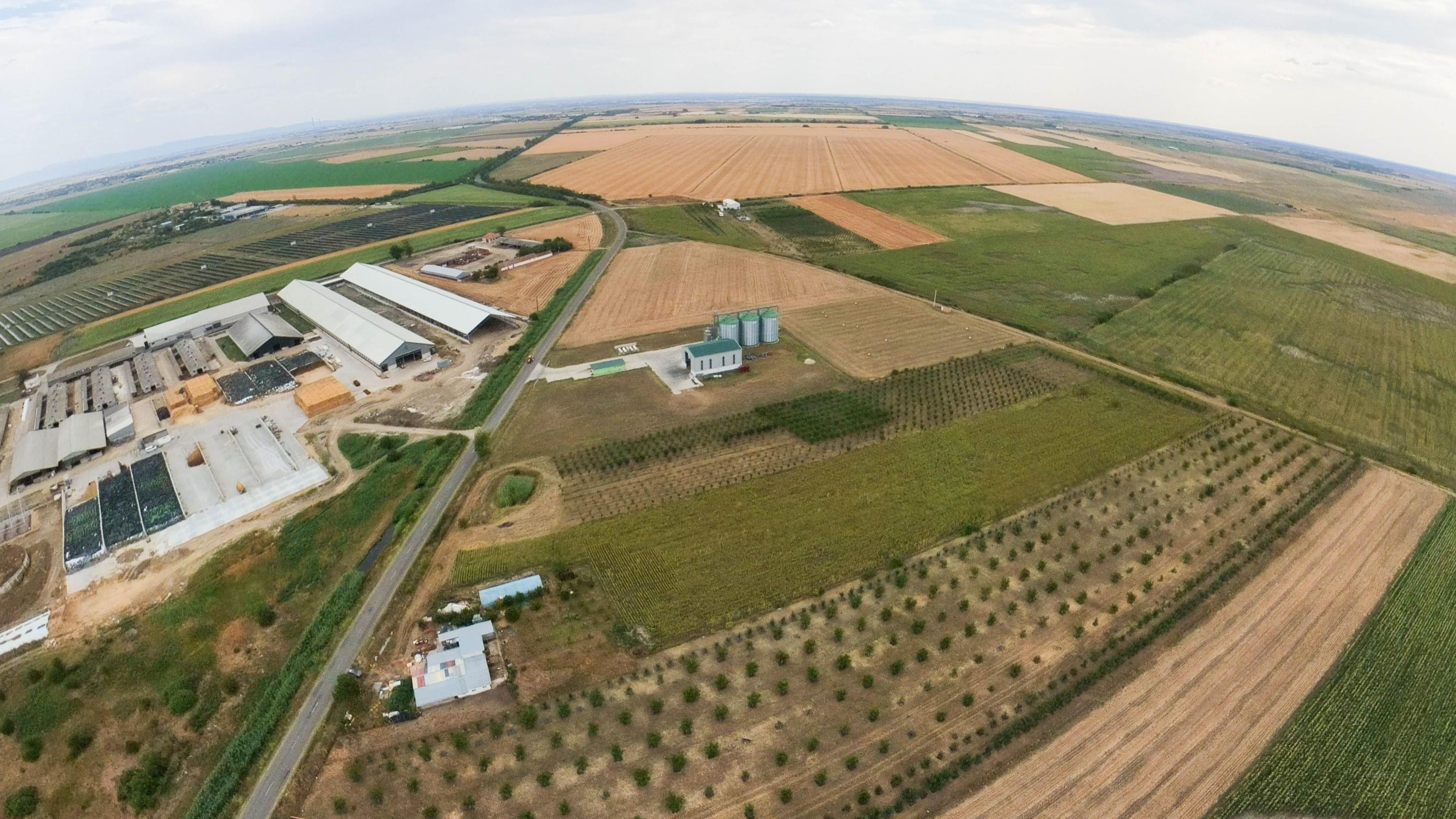 Livadă de 3,6 hectare în Iratoșu – Oportunitate - 6
