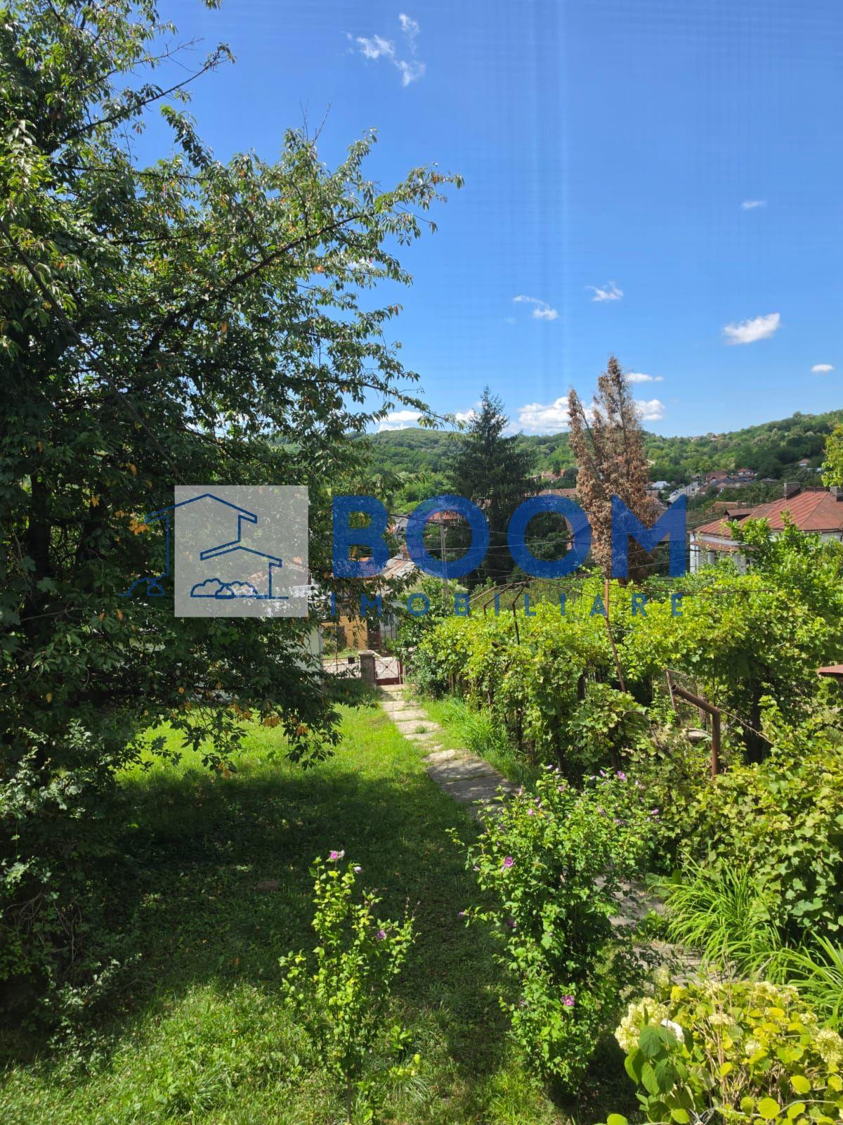 Casa Ocnita | Ideal investitie | Zona Turistica - 8