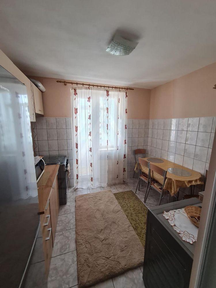 Apartament 1 camera 41 mp utili pivnita si balcon inchis Turnisor - 2