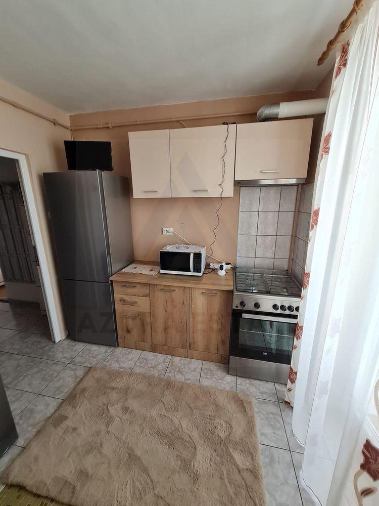 Apartament 1 camera 41 mp utili pivnita si balcon inchis Turnisor - 3