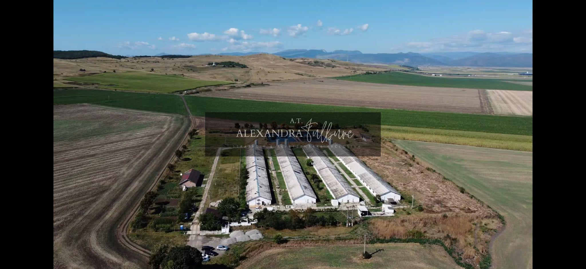 Ferma/ Hala industriala de vanzare, Bogata, Cluj - 1