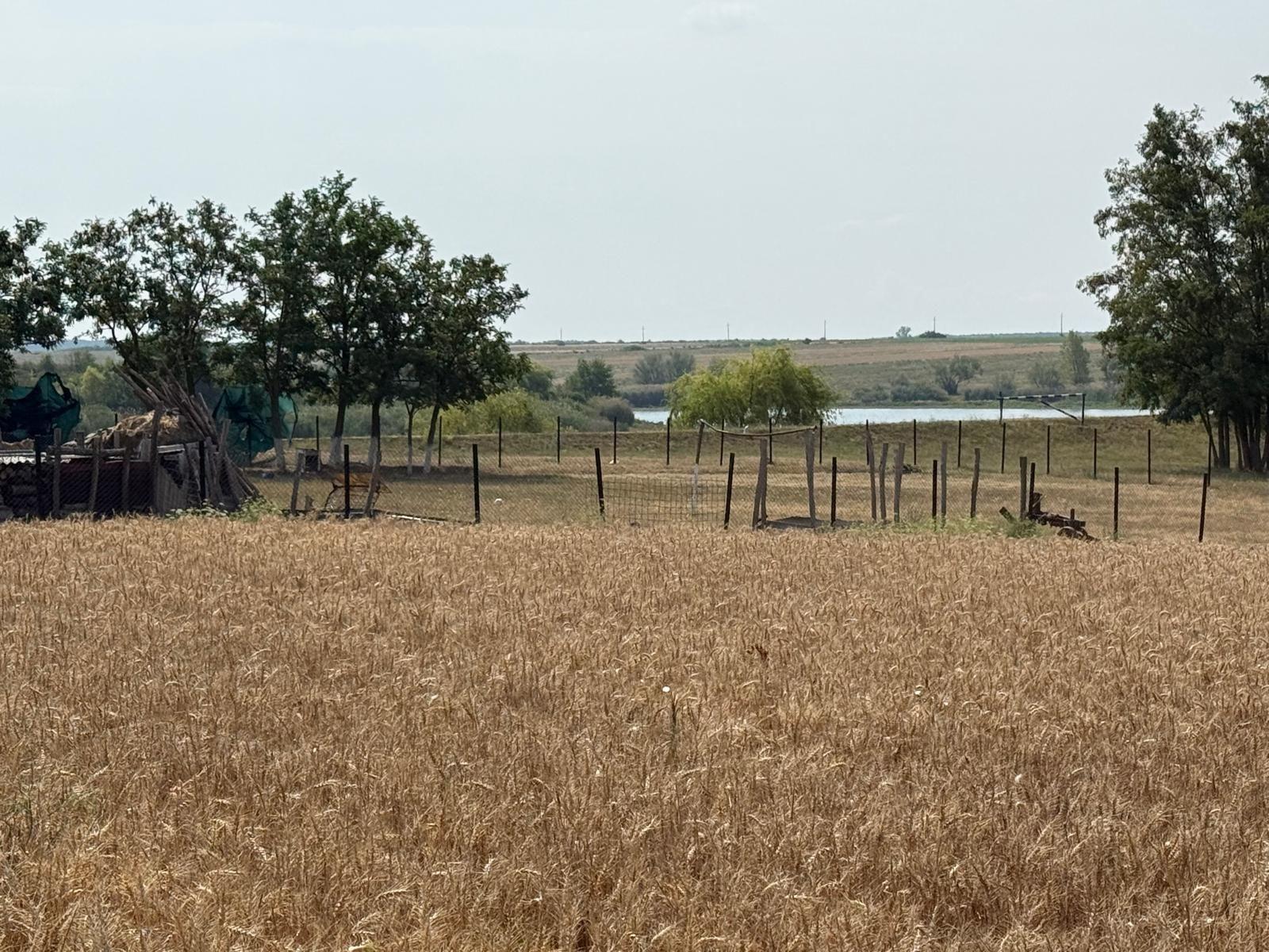 Teren intravilan Miersig, vedere la lac. 12,5 E/mp neg. Comision 0 - 5