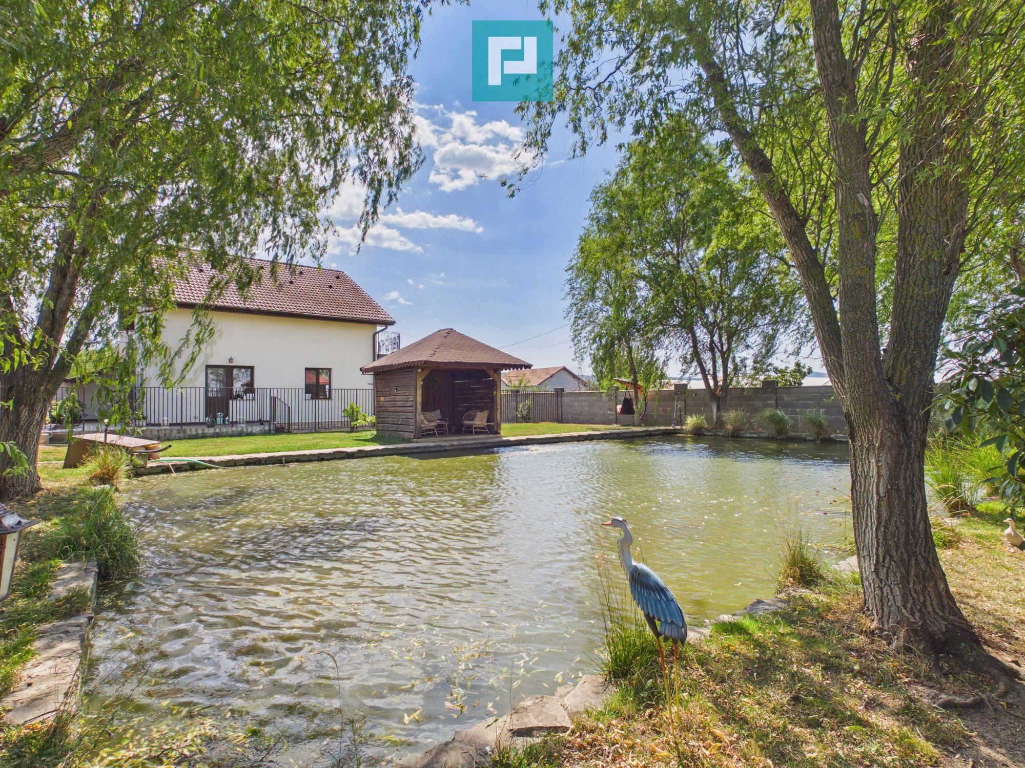 Vilă unică în Șiria | 160 mp utili | Teren 945 mp - 4