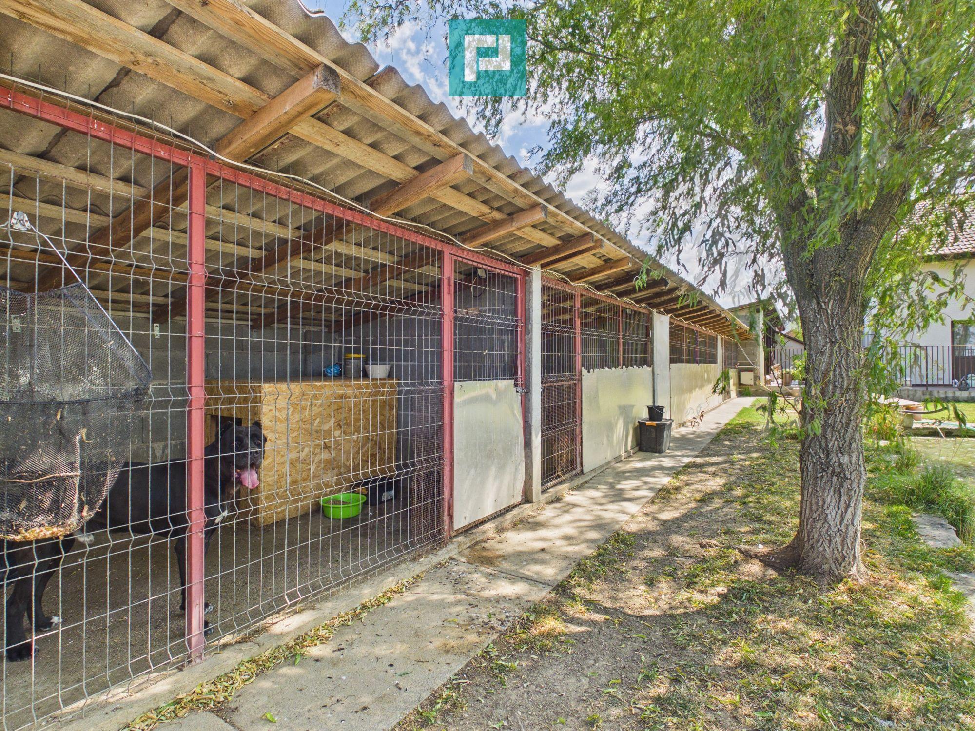 Vilă unică în Șiria | 160 mp utili | Teren 945 mp - 32