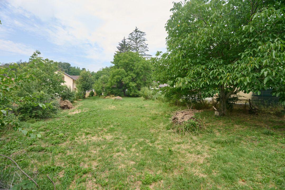 Teren 2240 mp intravilan + casa batraneasca Hintesti-Basangesti - 8