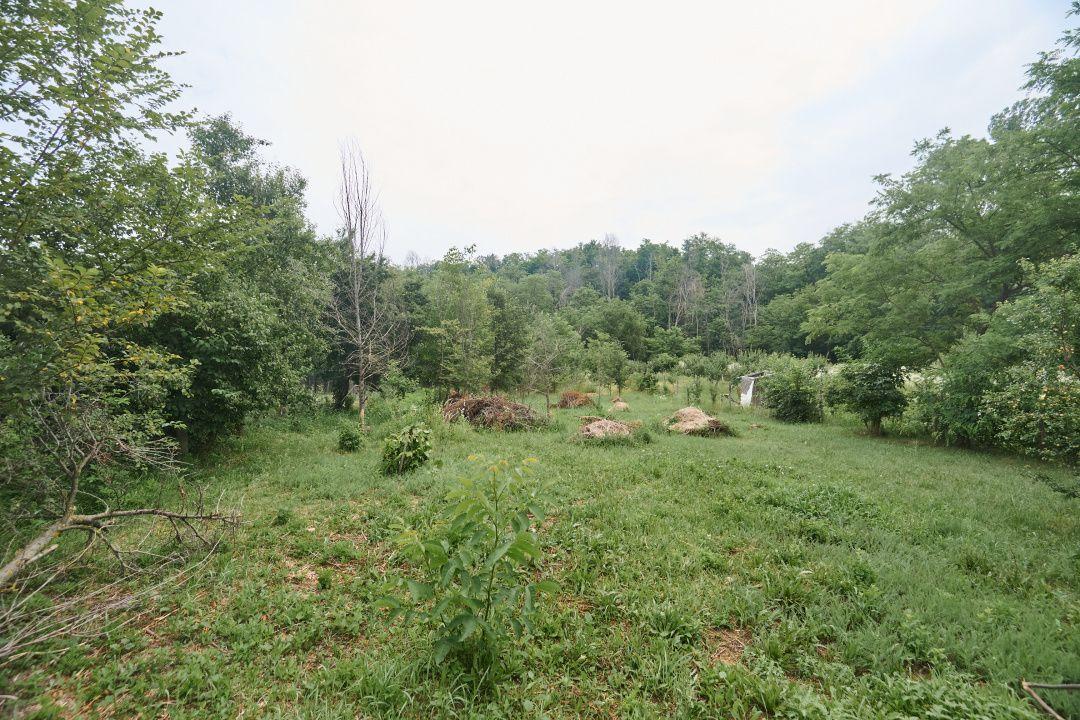 Teren 2240 mp intravilan + casa batraneasca Hintesti-Basangesti - 5