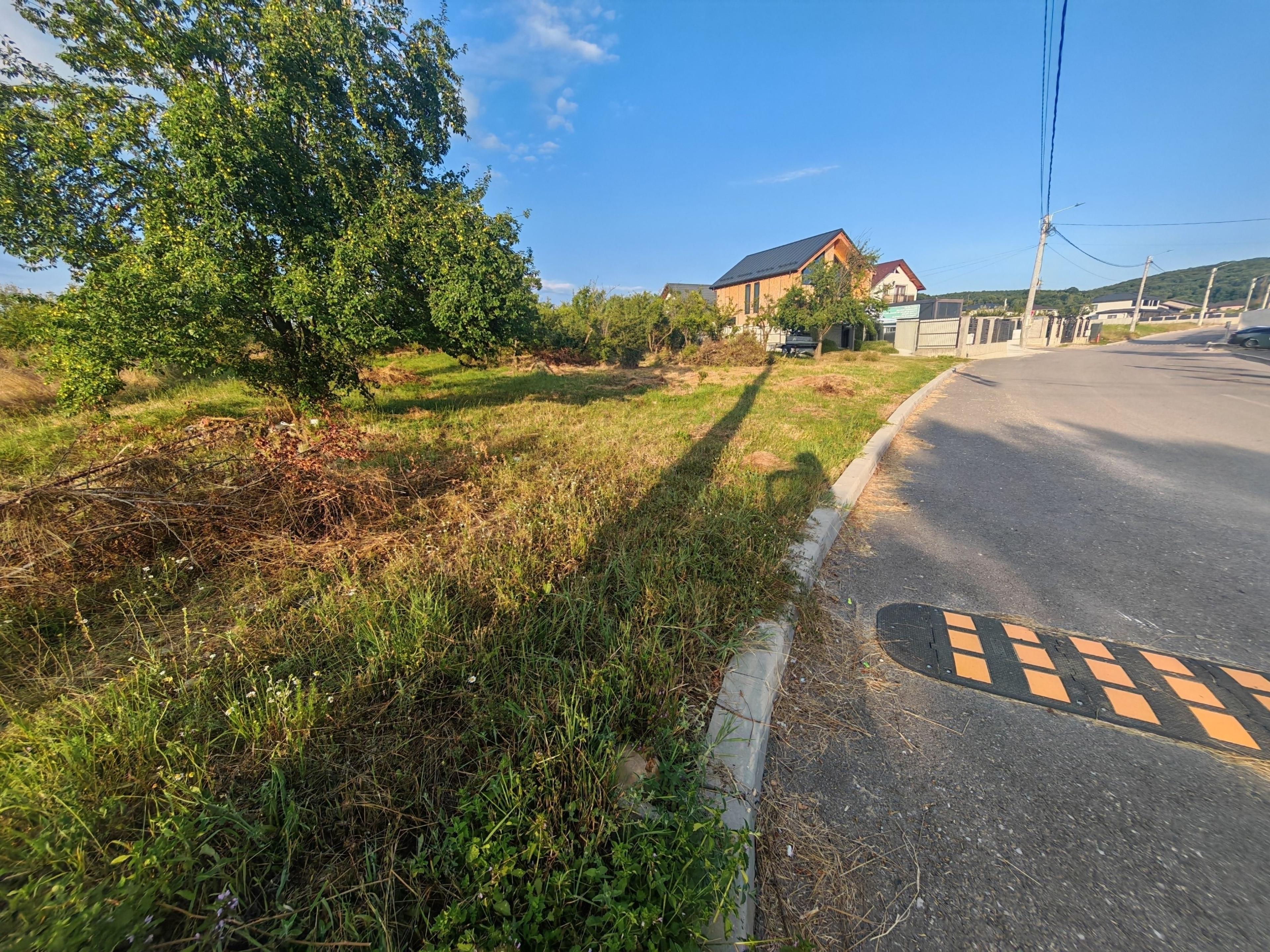 Teren intravilan 1.600 mp Mioveni – Zona Pruni - 2