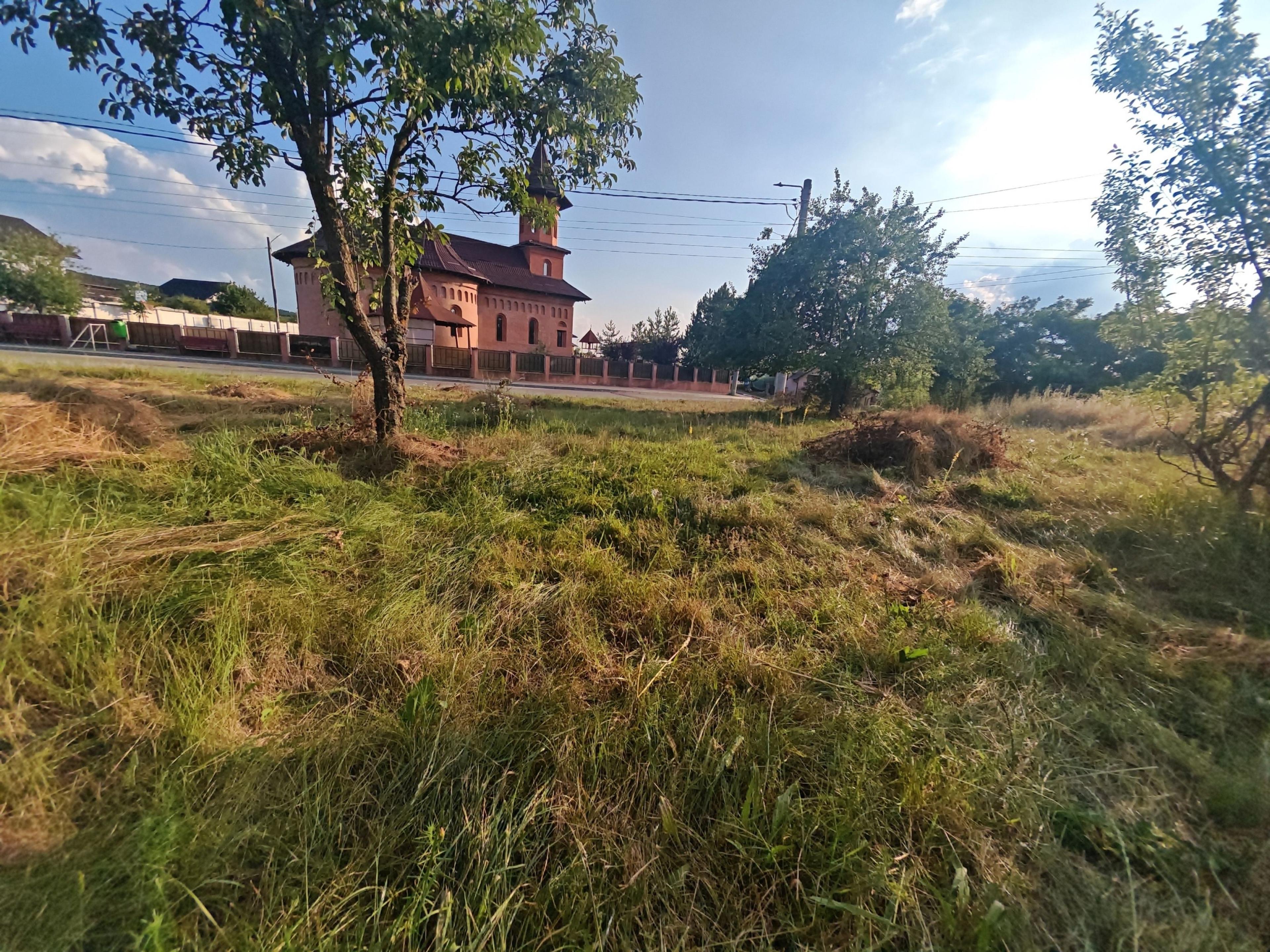 Teren intravilan 1.600 mp Mioveni – Zona Pruni - 4