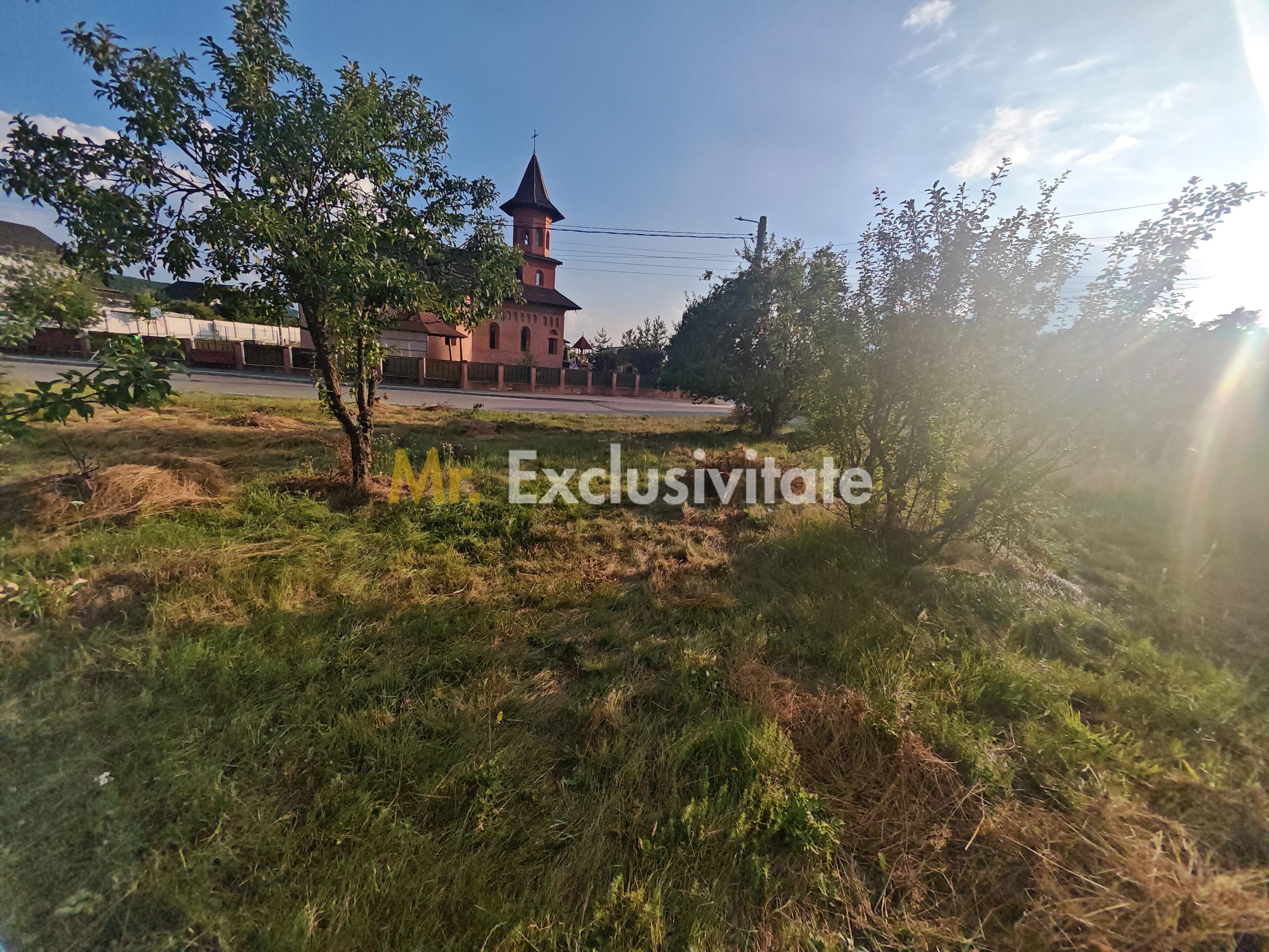 Teren intravilan 1.600 mp Mioveni – Zona Pruni - 5