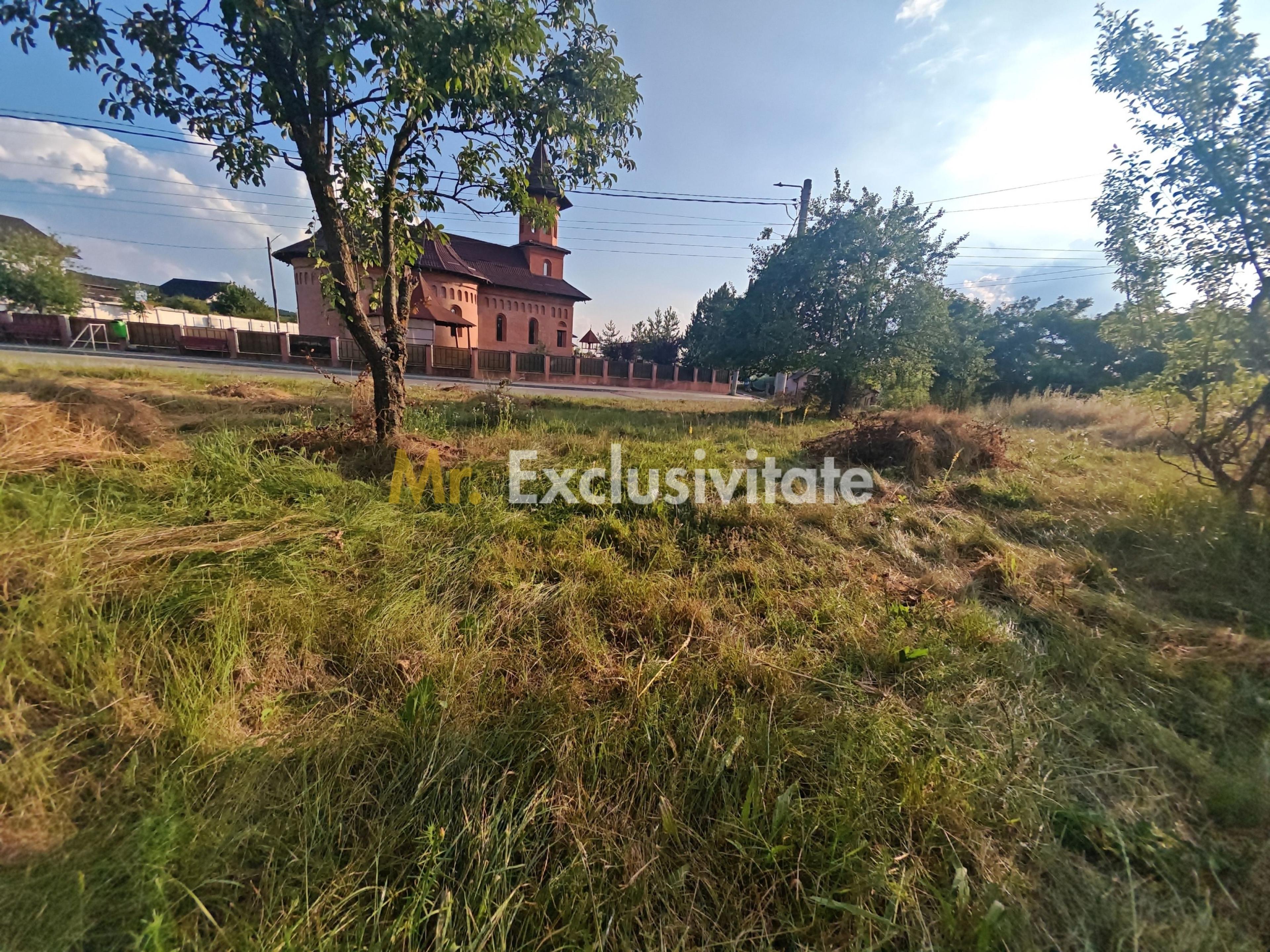 Teren intravilan 1.600 mp Mioveni – Zona Pruni - 4