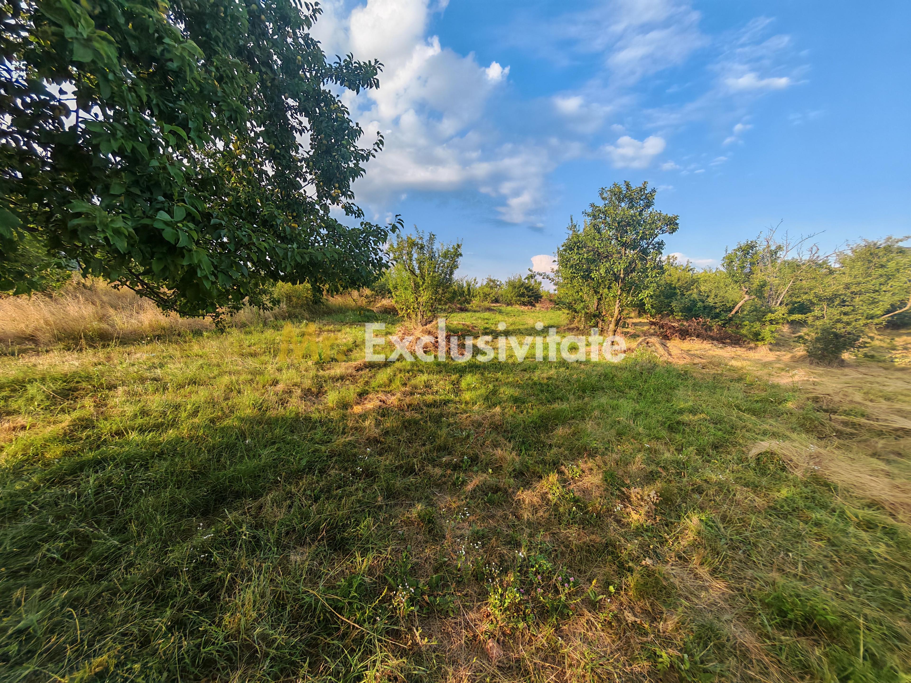 Teren intravilan 1.600 mp Mioveni – Zona Pruni - 7