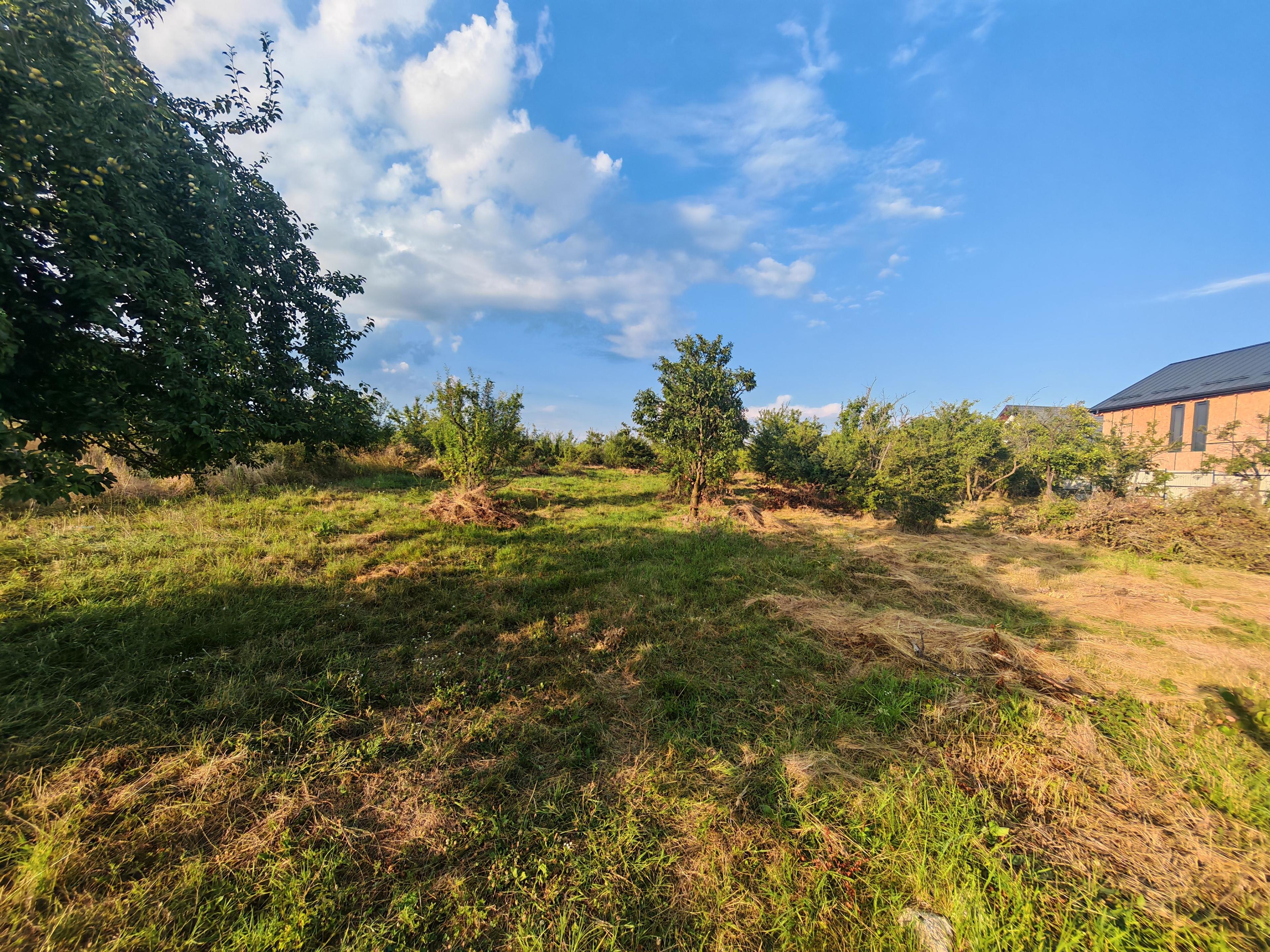 Teren intravilan 1.600 mp Mioveni – Zona Pruni - 7