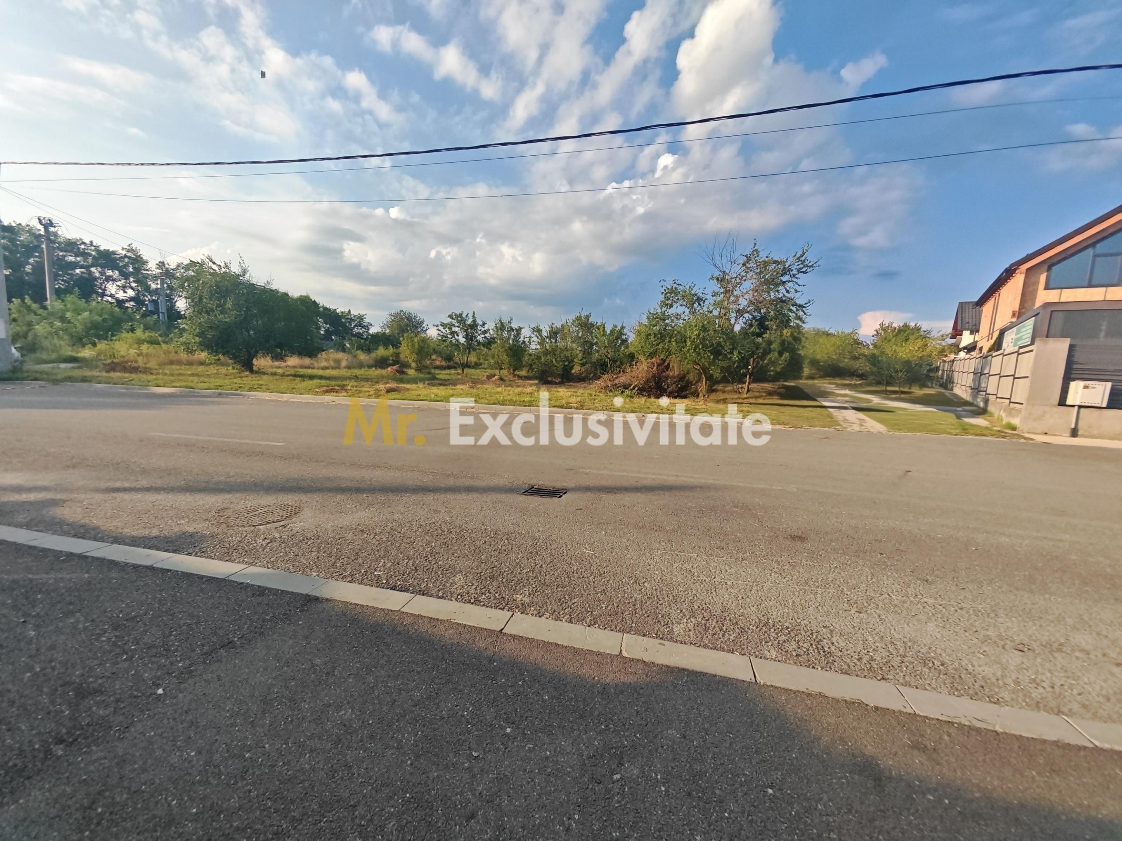 Teren intravilan 1.600 mp Mioveni – Zona Pruni - 3