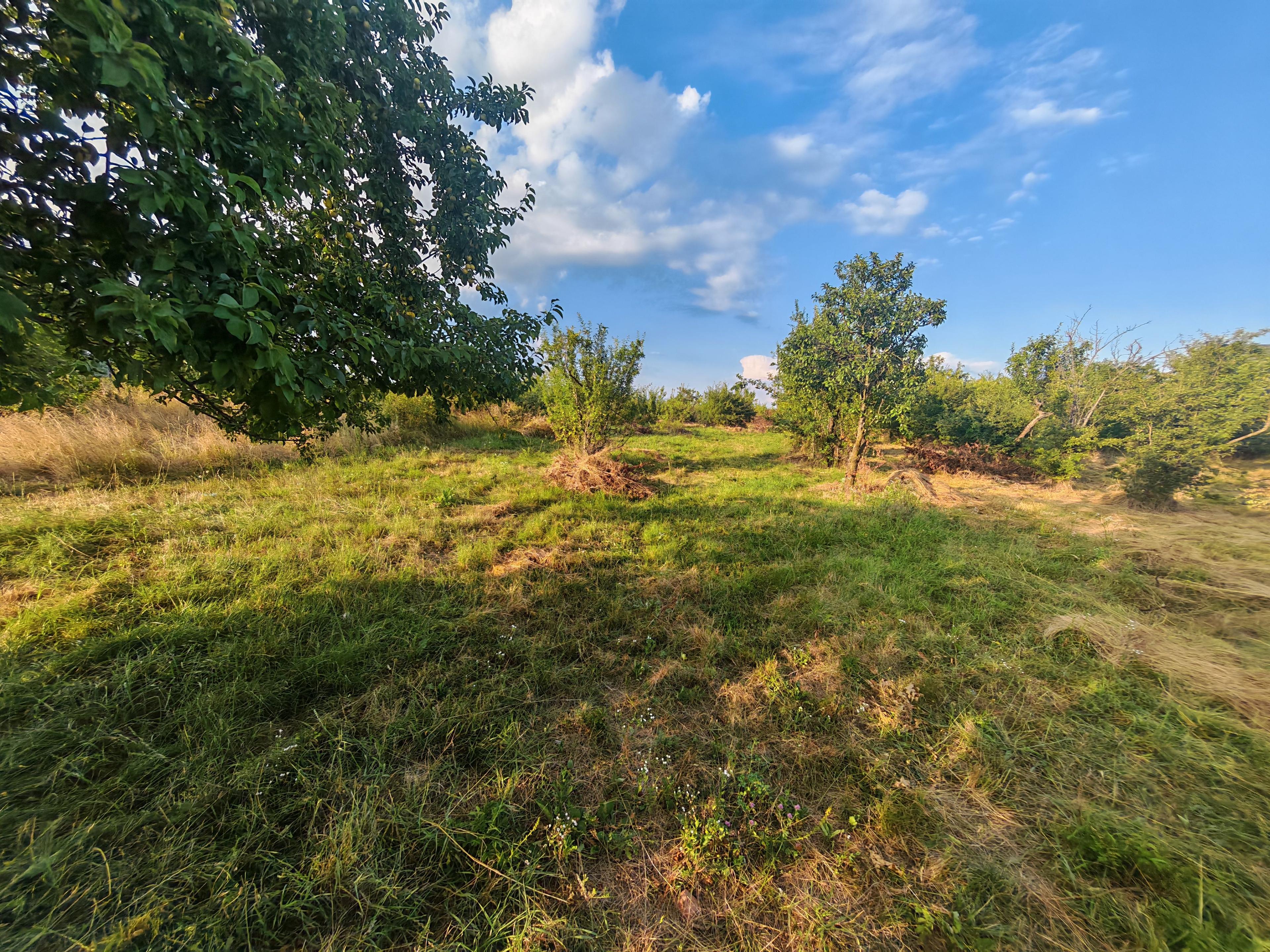 Teren intravilan 1.600 mp Mioveni – Zona Pruni - 6