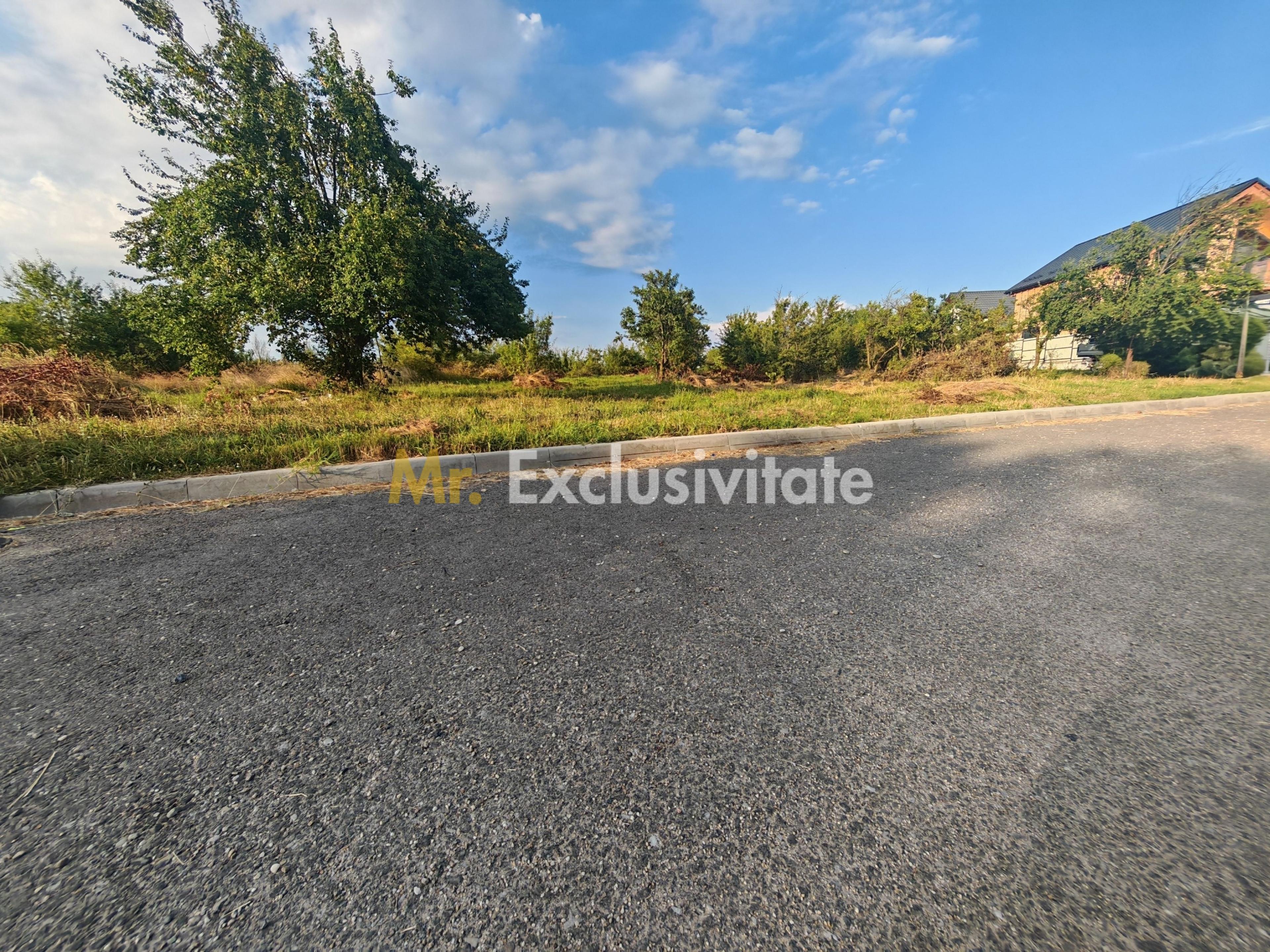 Teren intravilan 1.600 mp Mioveni – Zona Pruni - 1