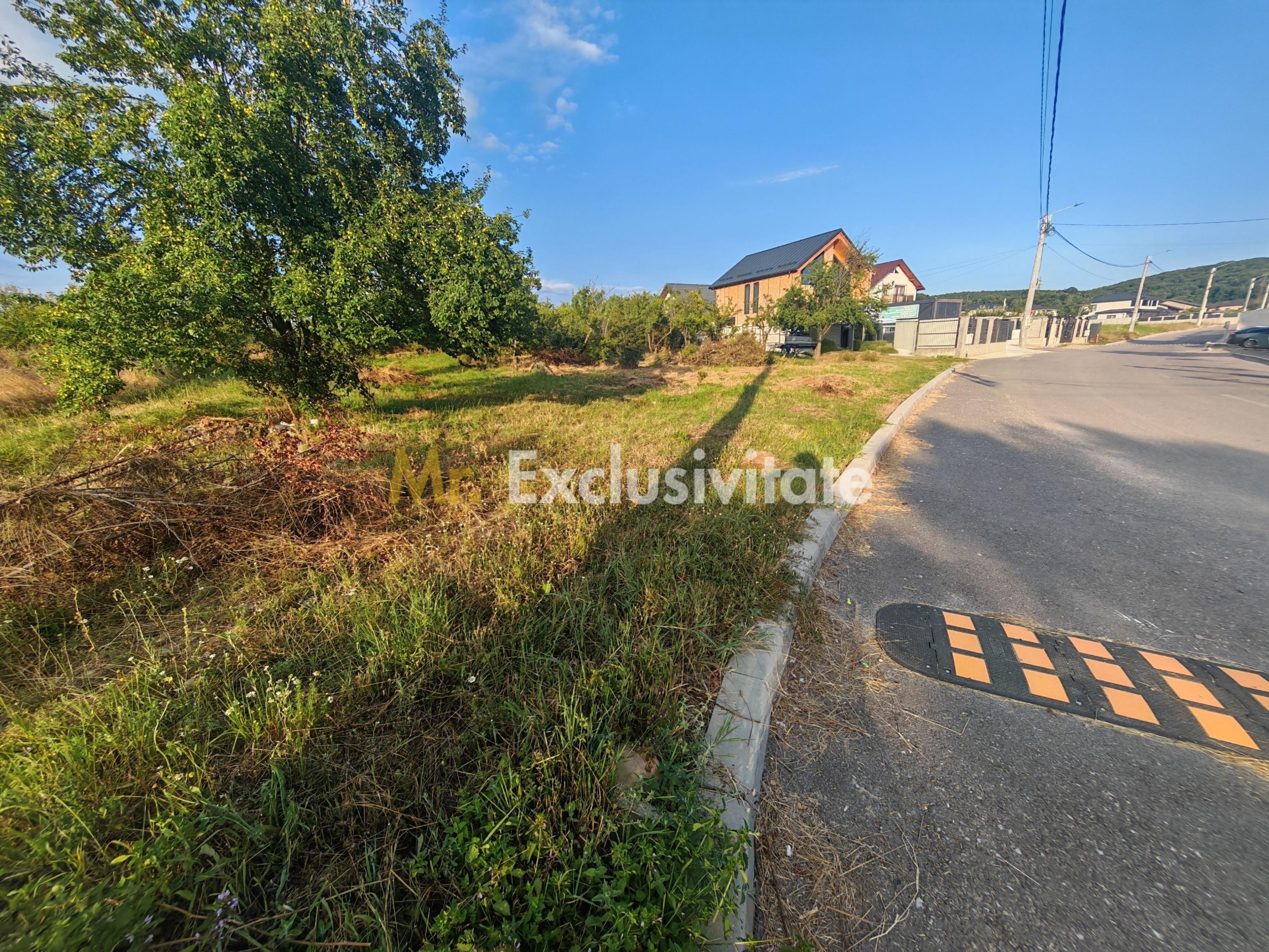 Teren intravilan 1.600 mp Mioveni – Zona Pruni - 2