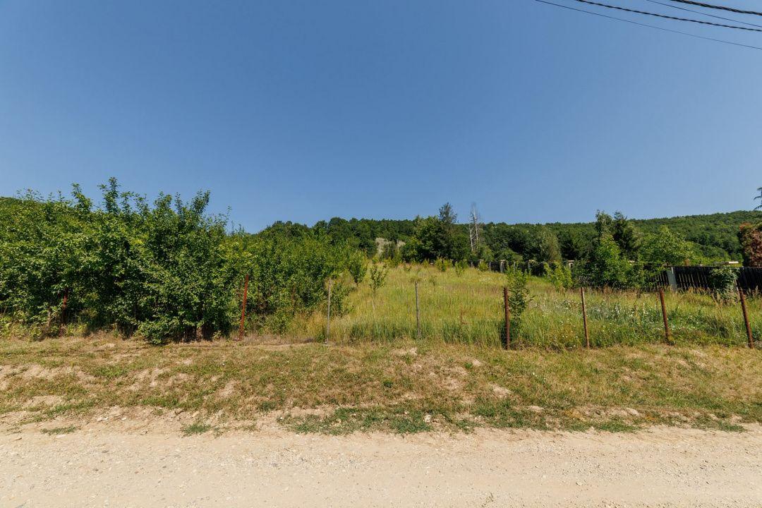 Teren intravilan Ștefănești Valea Mare Podgoria - 6