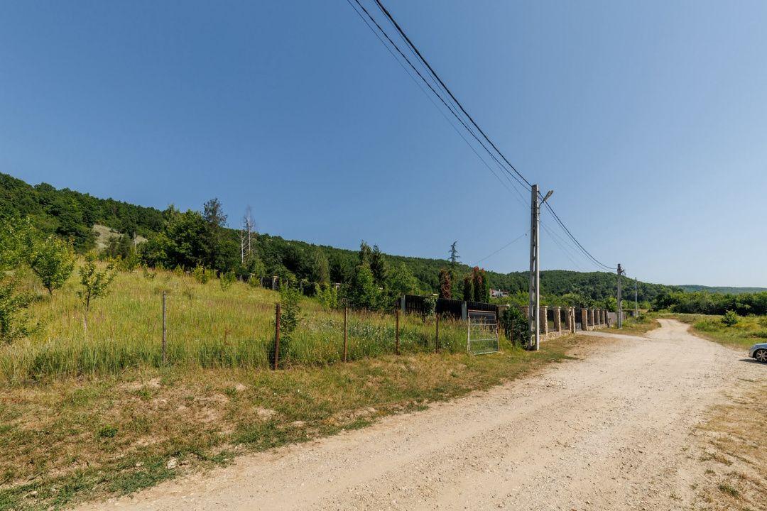 Teren intravilan Ștefănești Valea Mare Podgoria - 3