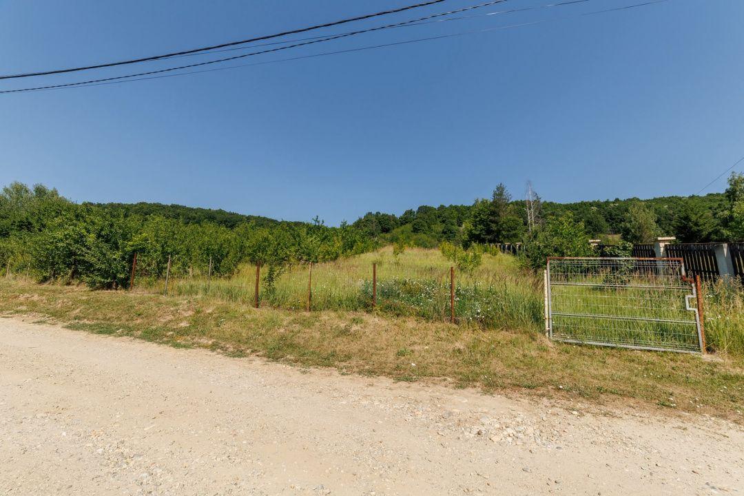 Teren intravilan Ștefănești Valea Mare Podgoria - 1