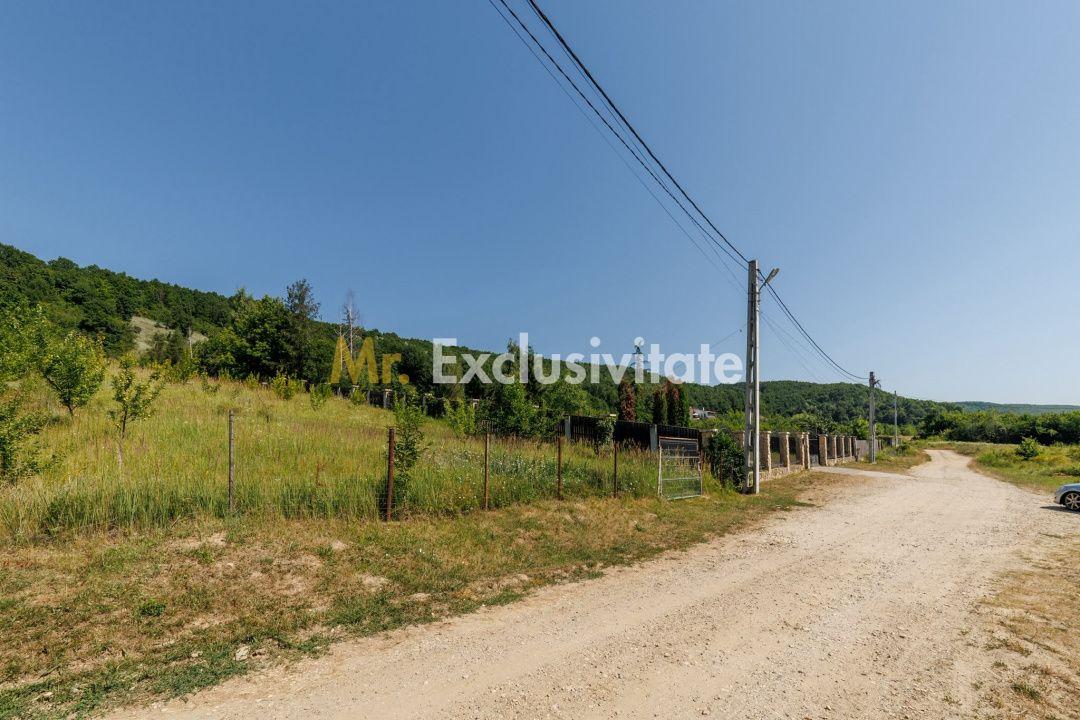 Teren intravilan Ștefănești Valea Mare Podgoria - 5