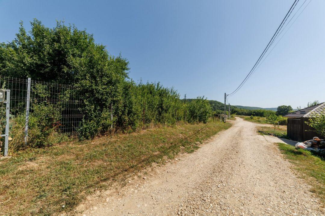 Teren intravilan Ștefănești Valea Mare Podgoria - 2