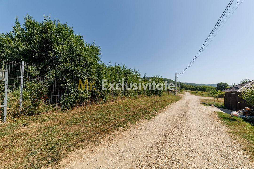 Teren intravilan Ștefănești Valea Mare Podgoria - 2