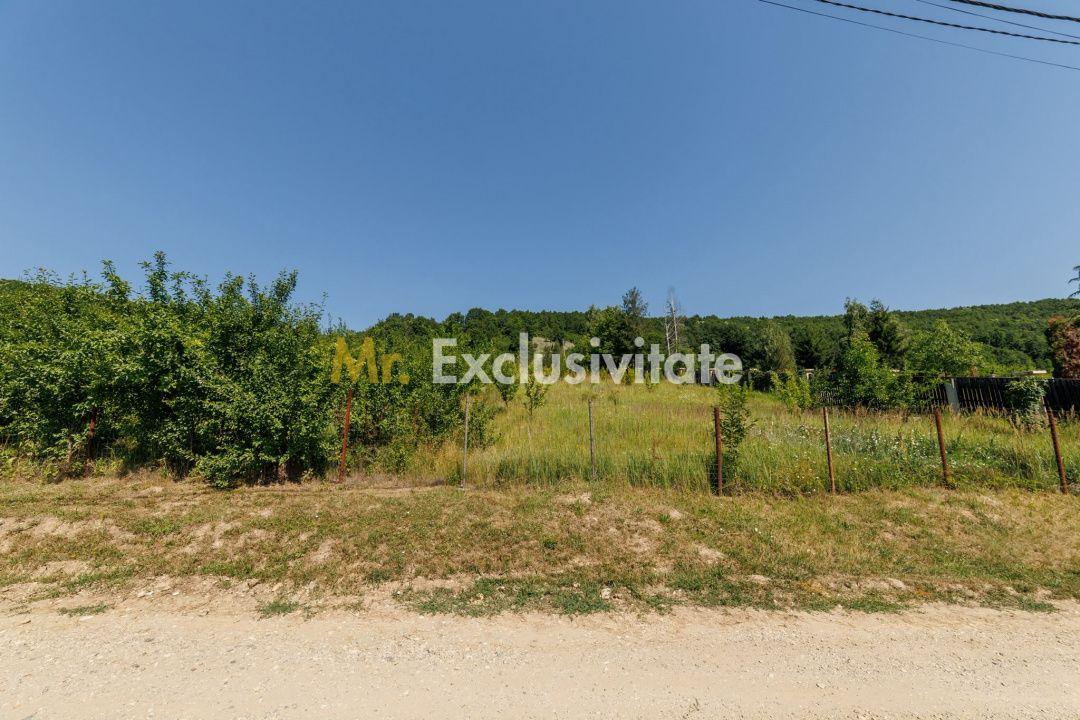 Teren intravilan Ștefănești Valea Mare Podgoria - 4