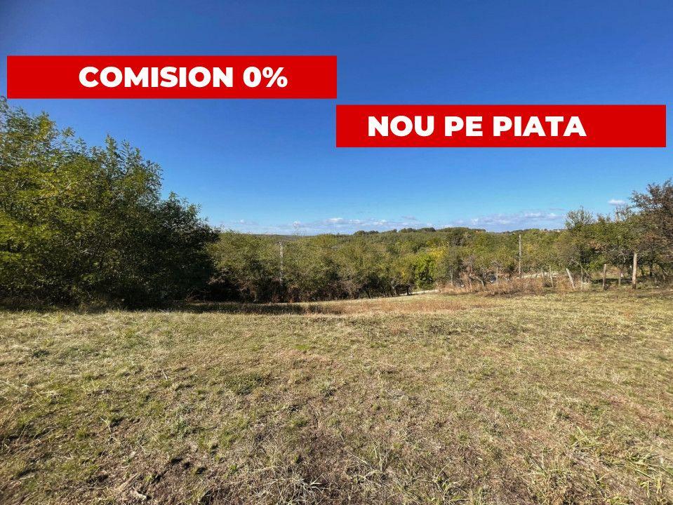 Teren generos Argeș Babana - 1