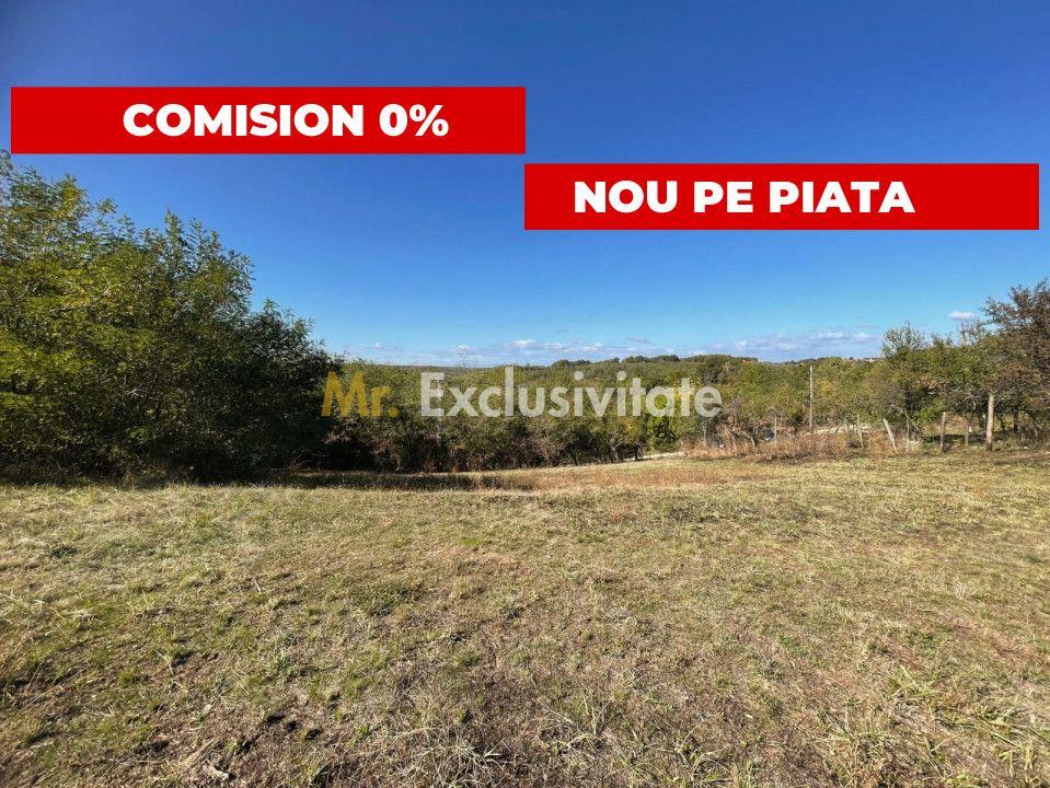 Teren generos Argeș Babana - 1