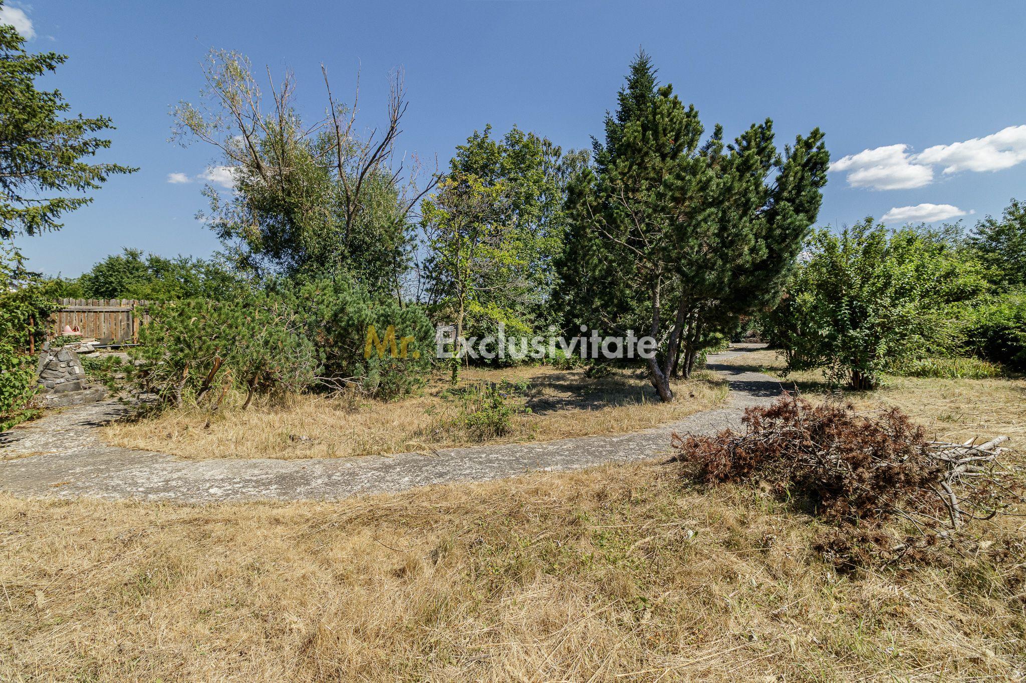 Domeniu privat 5.000 mp, cu reședință de 625 mp și piscină, Corbeanca - 41