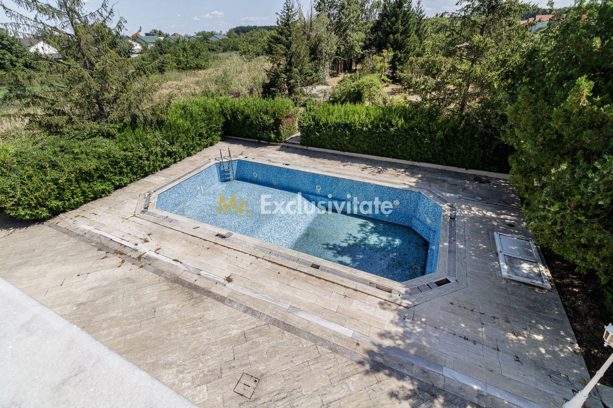 Domeniu privat 5.000 mp, cu reședință de 625 mp și piscină, Corbeanca - 38
