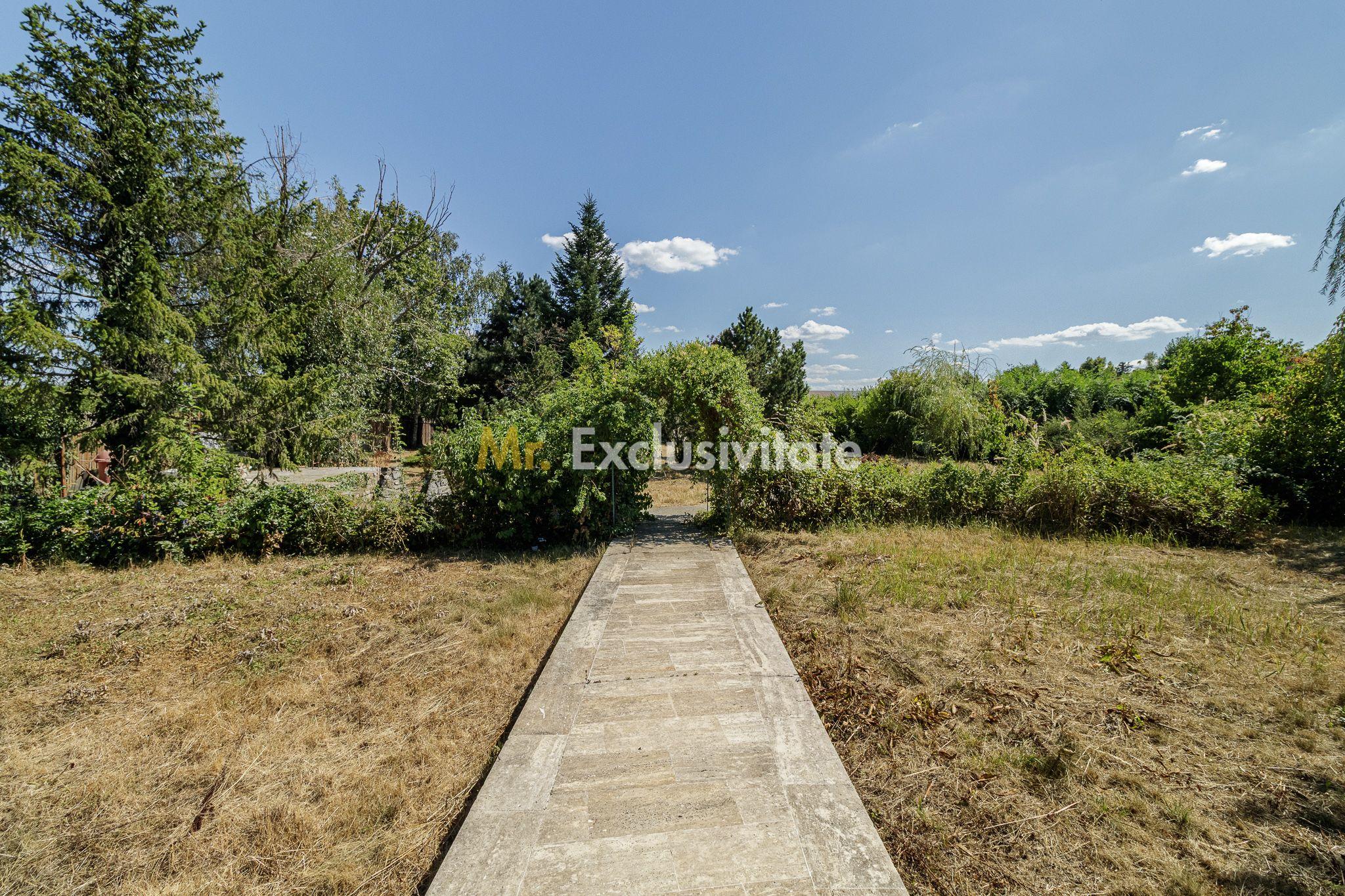 Domeniu privat 5.000 mp, cu reședință de 625 mp și piscină, Corbeanca - 14
