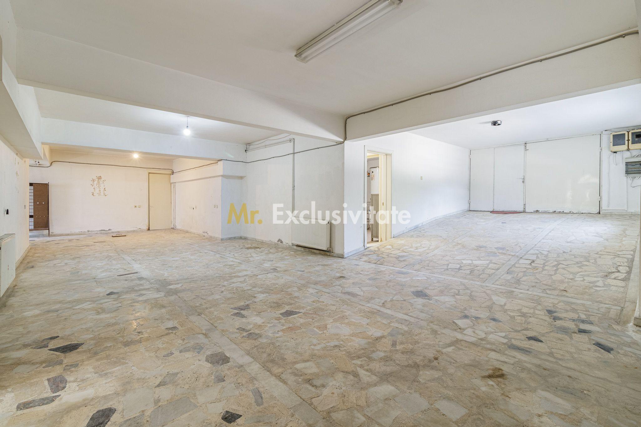 Domeniu privat 5.000 mp, cu reședință de 625 mp și piscină, Corbeanca - 21
